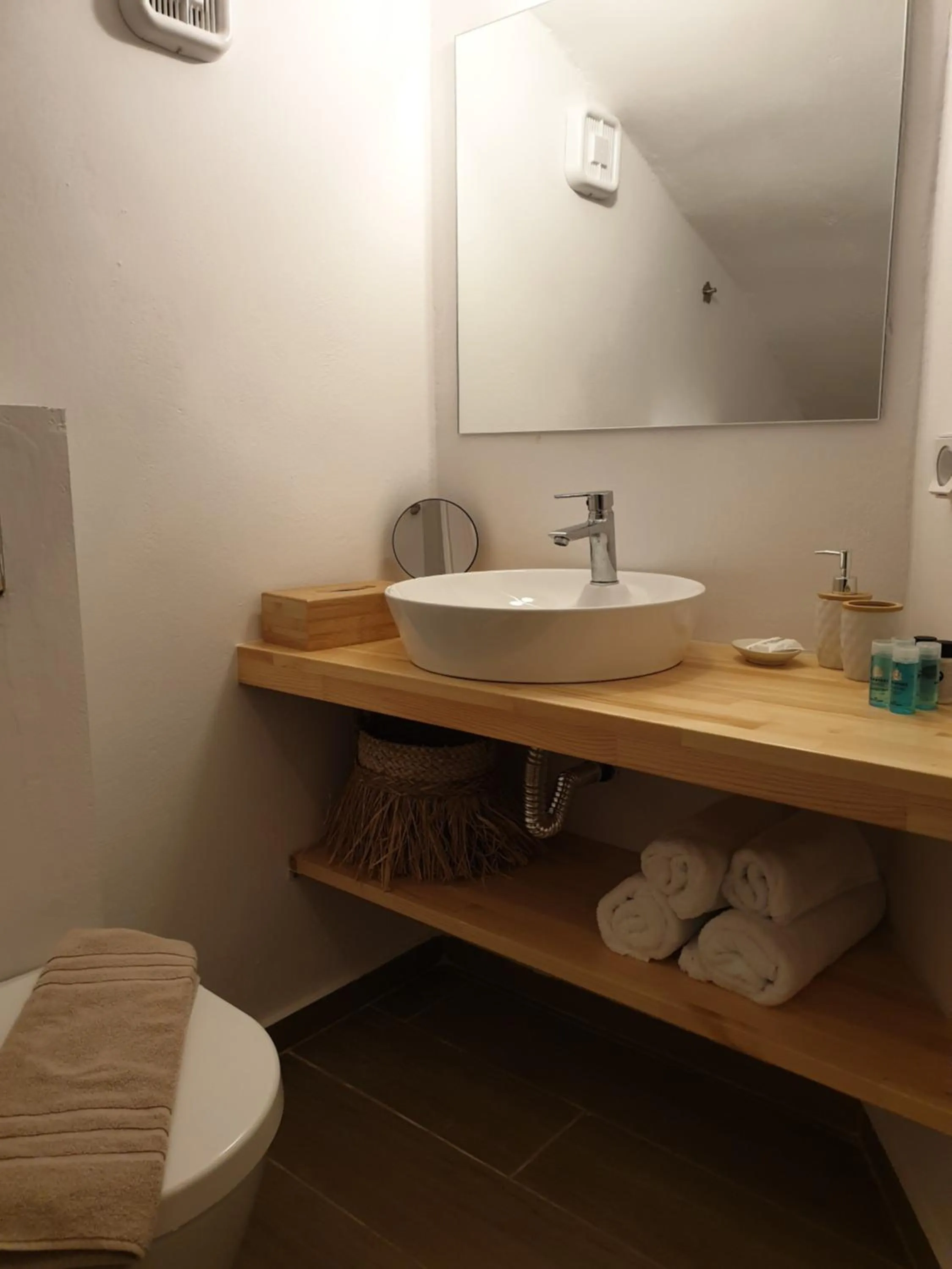 Toilet in Galaxa Mansion