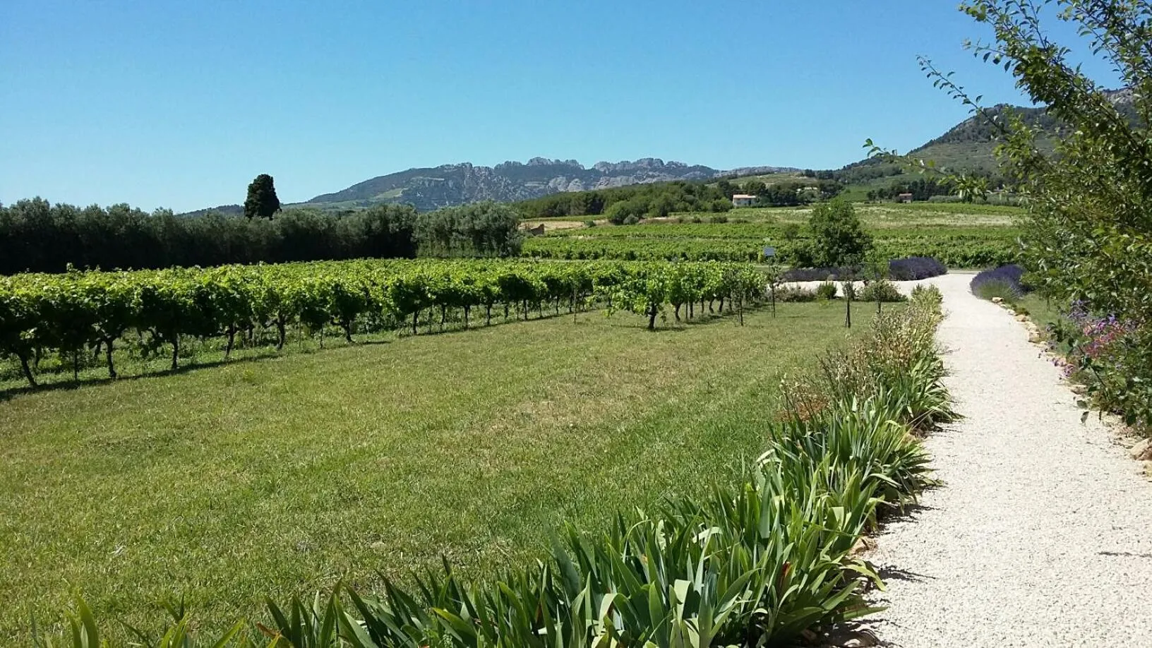 Landmark view in La Dentellière