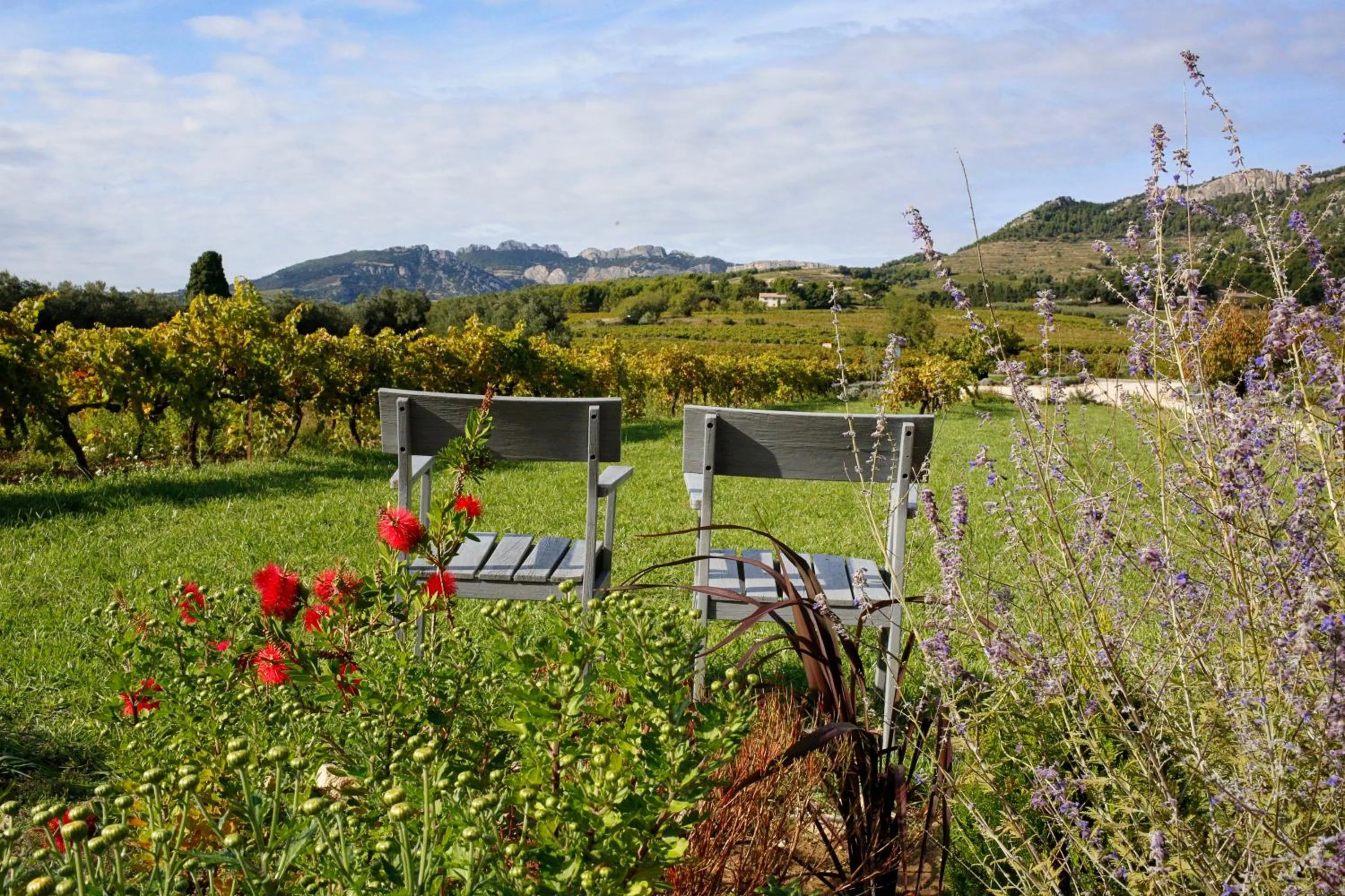 Landmark view in La Dentellière