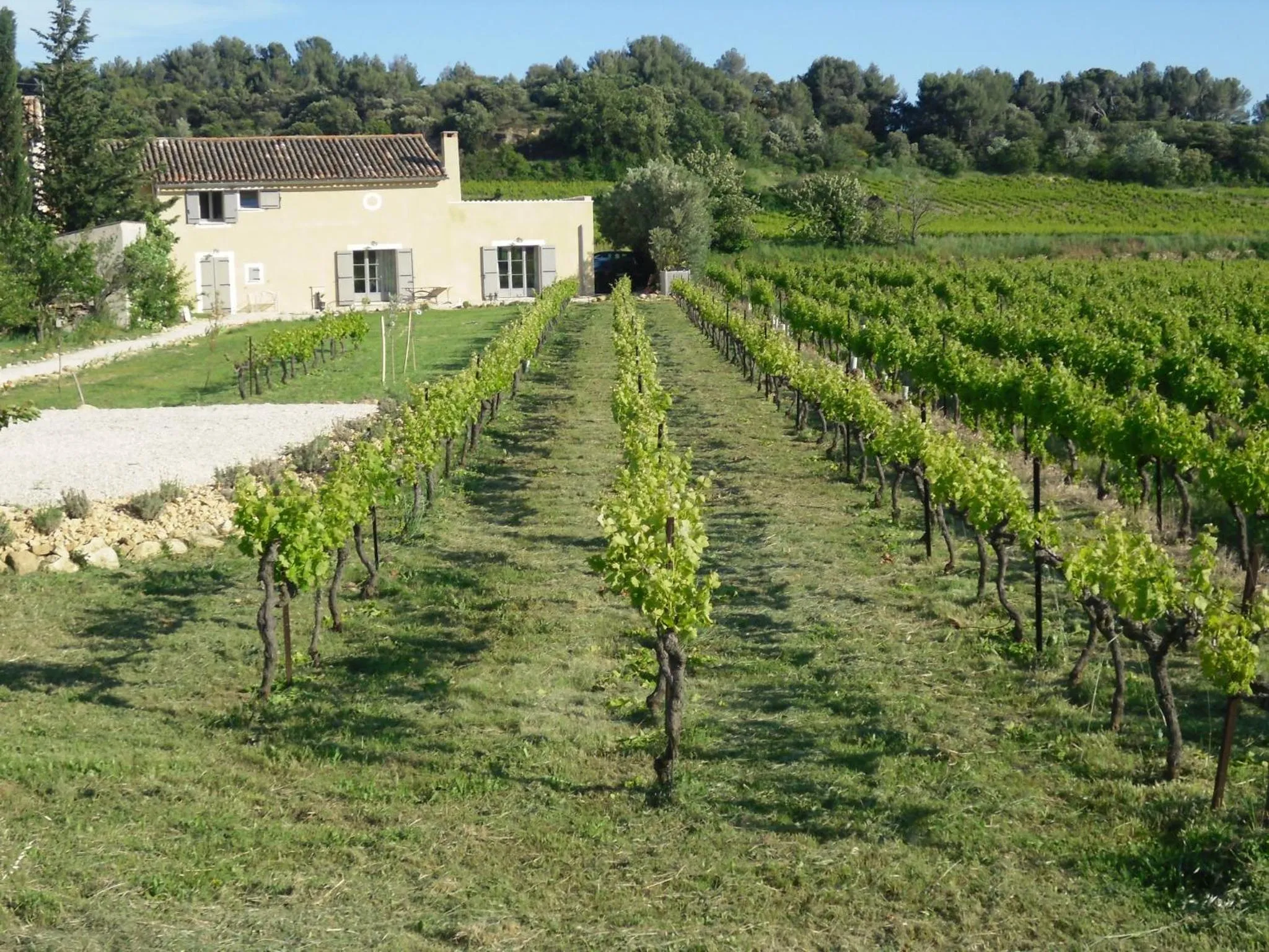 Garden view in La Dentellière