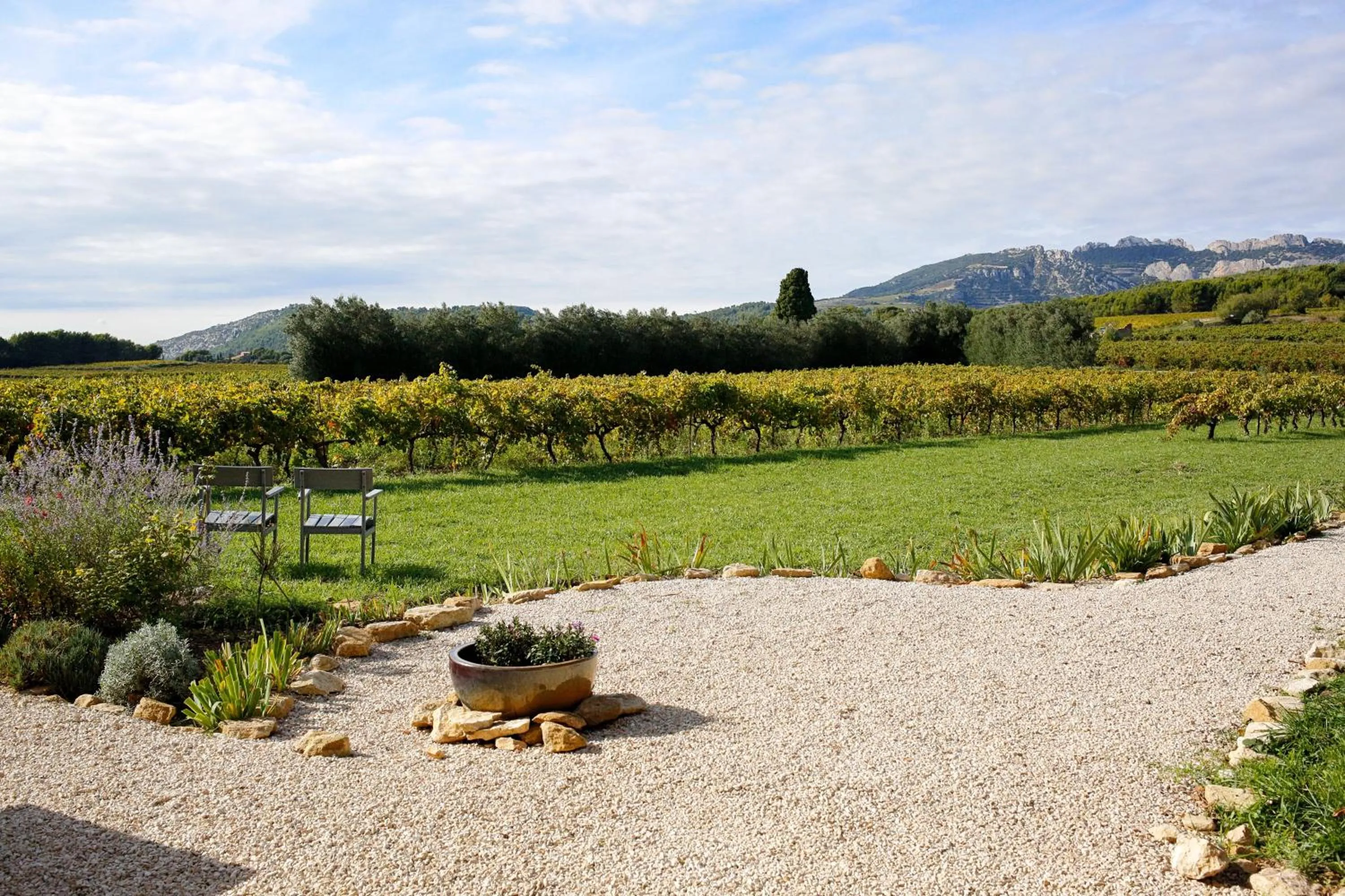 Other in La Dentellière