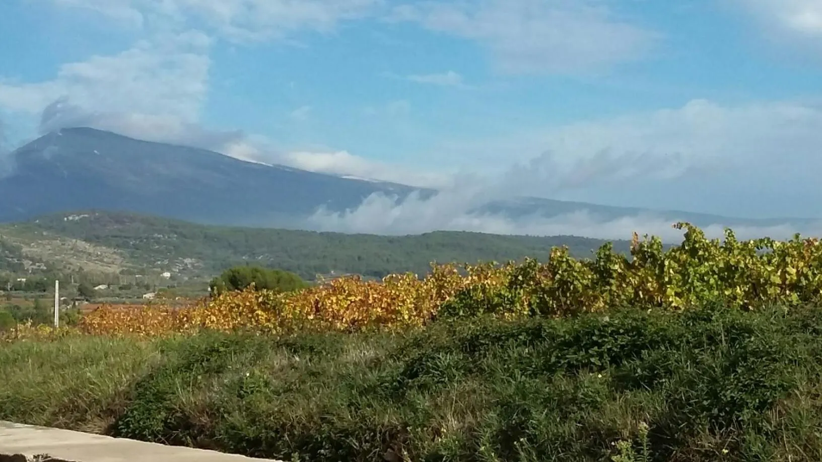 Landmark view in La Dentellière