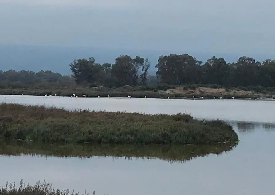 Property building in Riad Salt River
