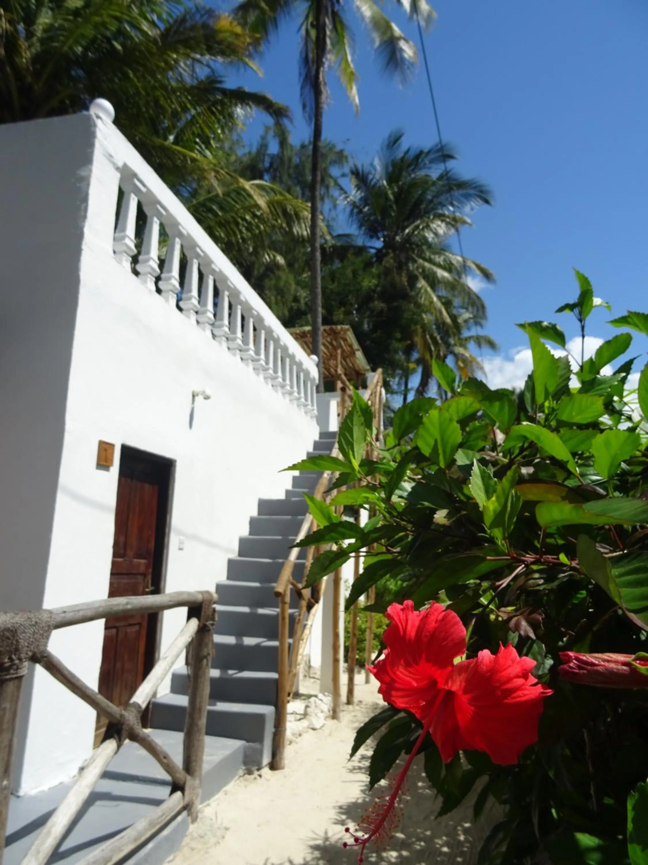 Garden view in Makuti Beach Bungalows