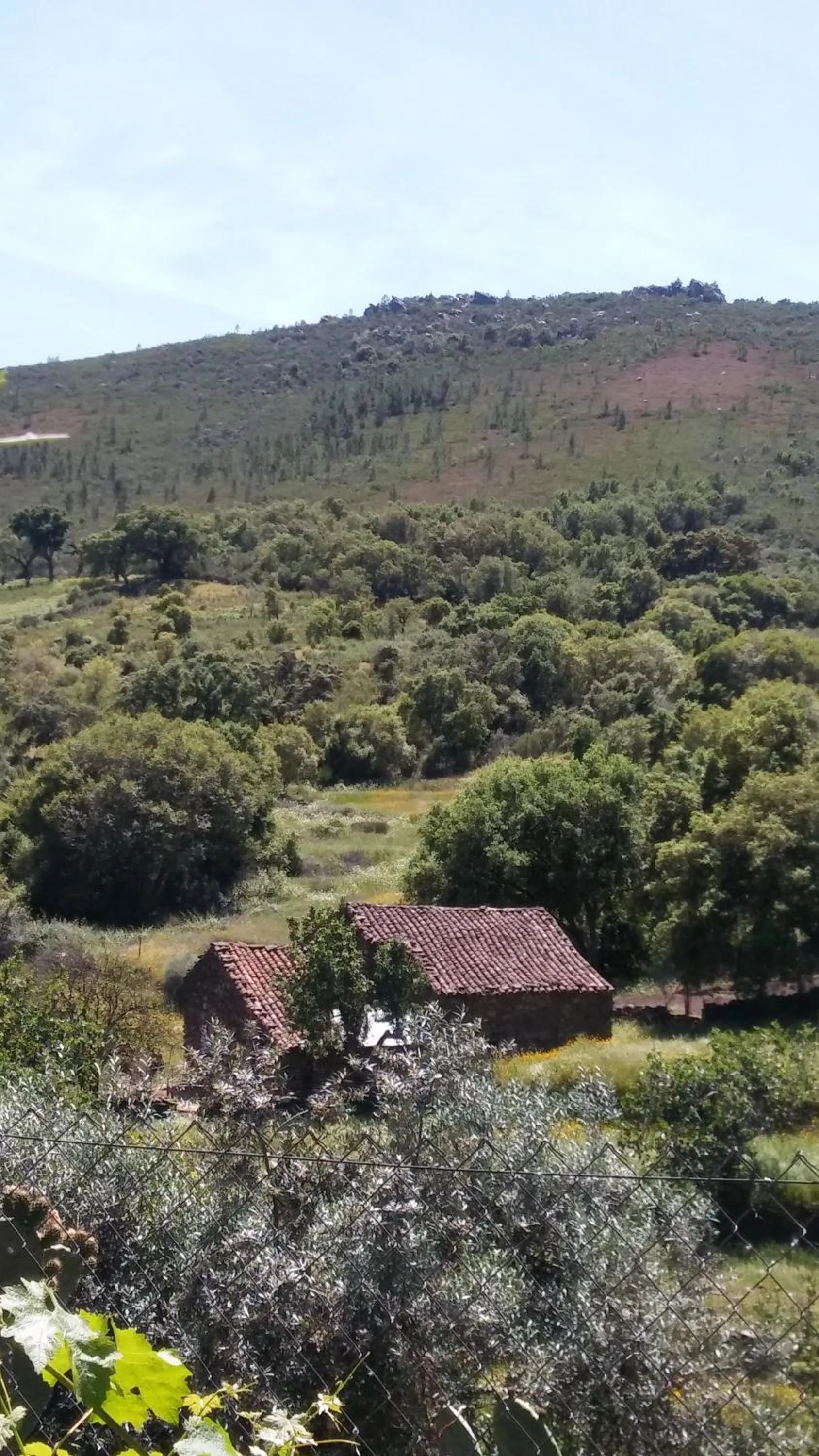La Cabaña Romantica de Llano
