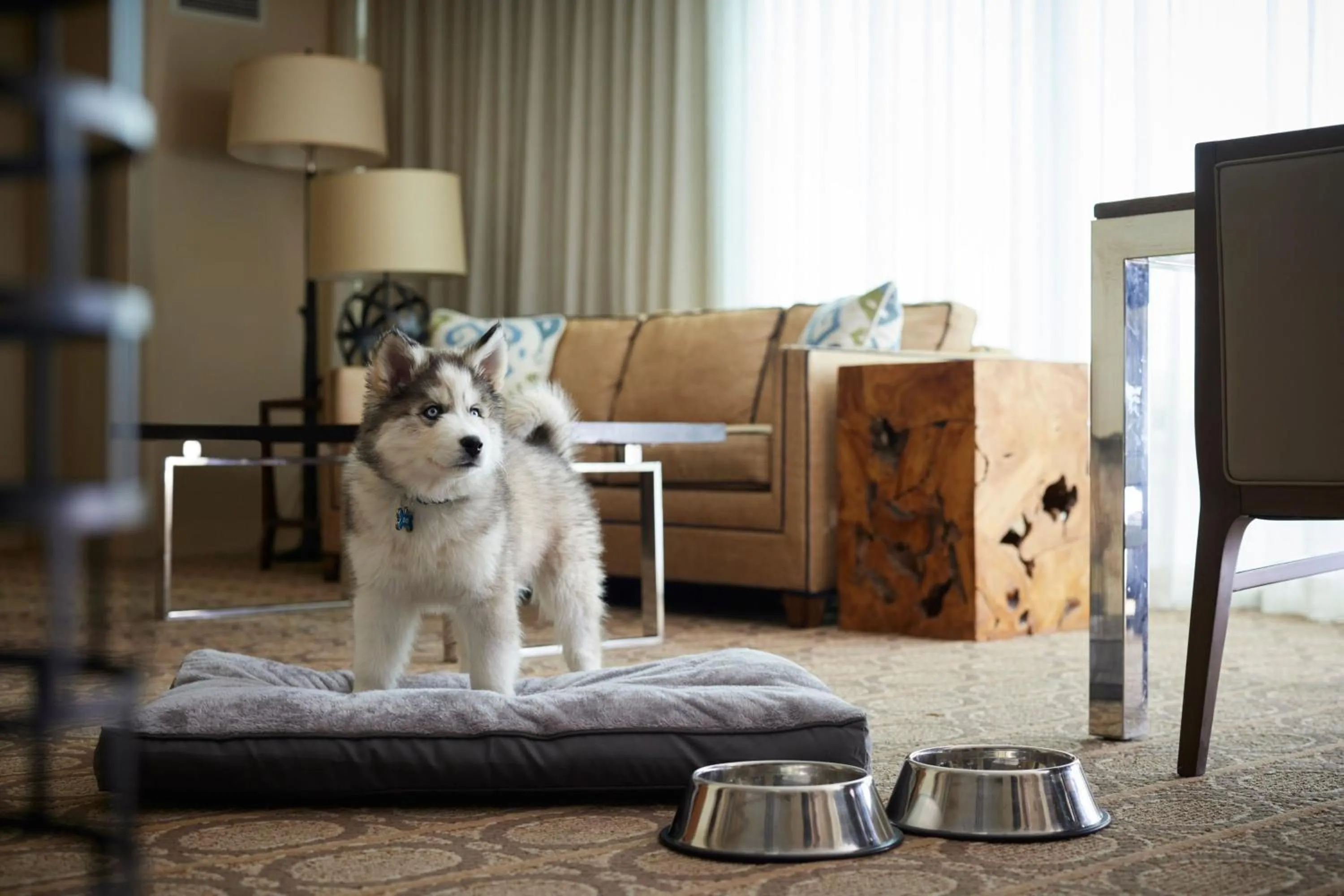 Other in Denver Marriott Westminster