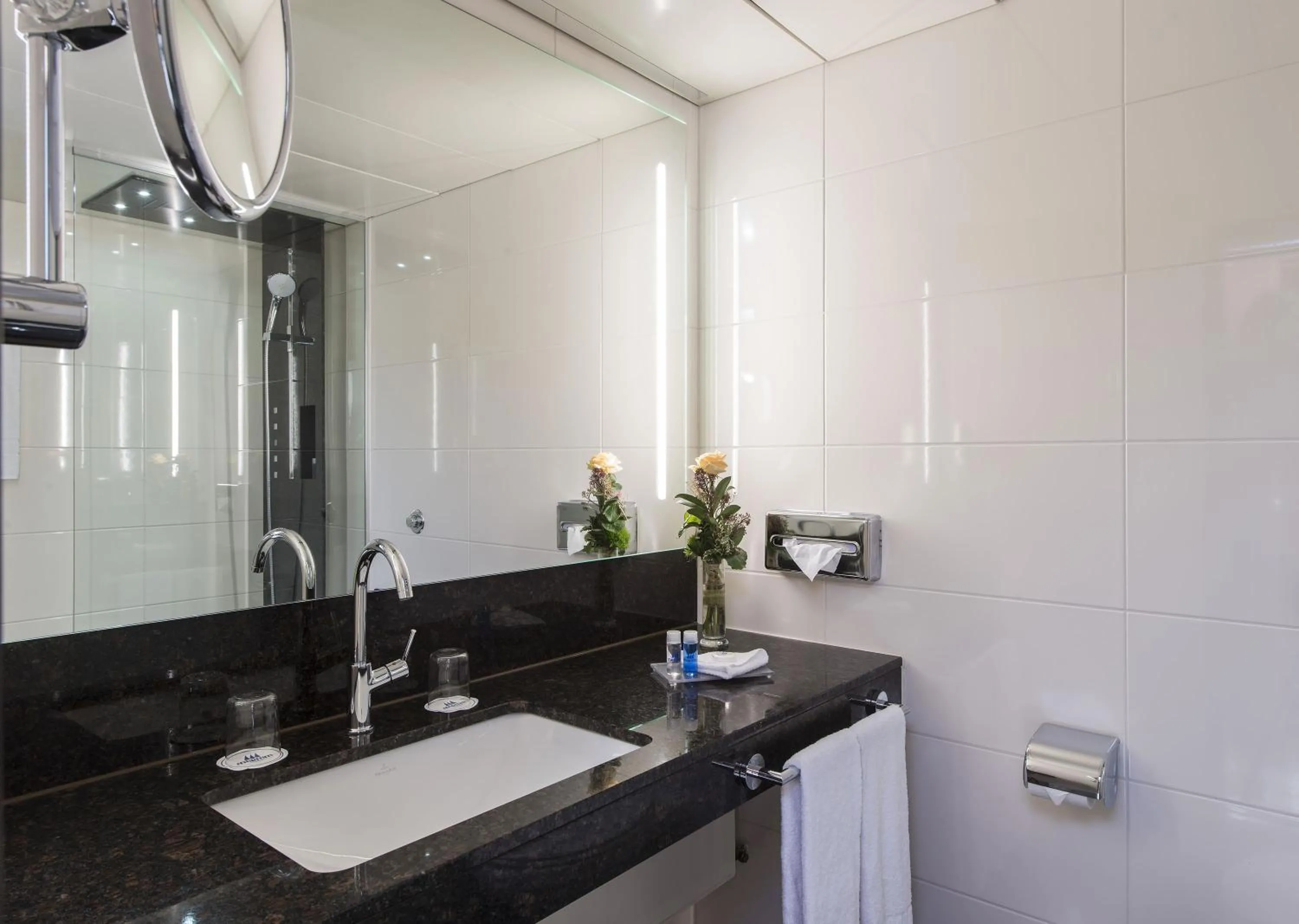 Shower in Maritim Hotel Stuttgart