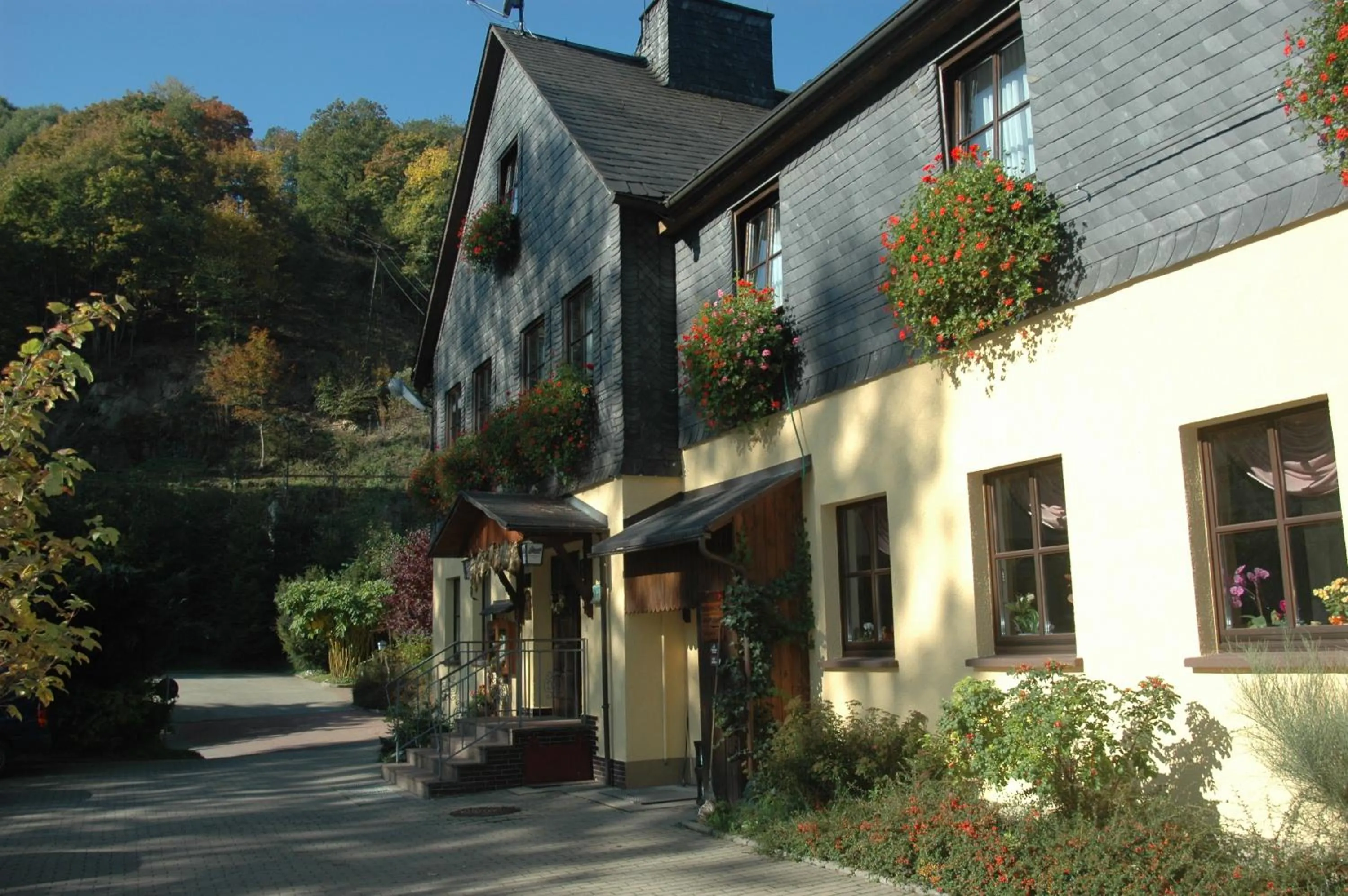 Summer in Flair-Waldhotel Mellestollen