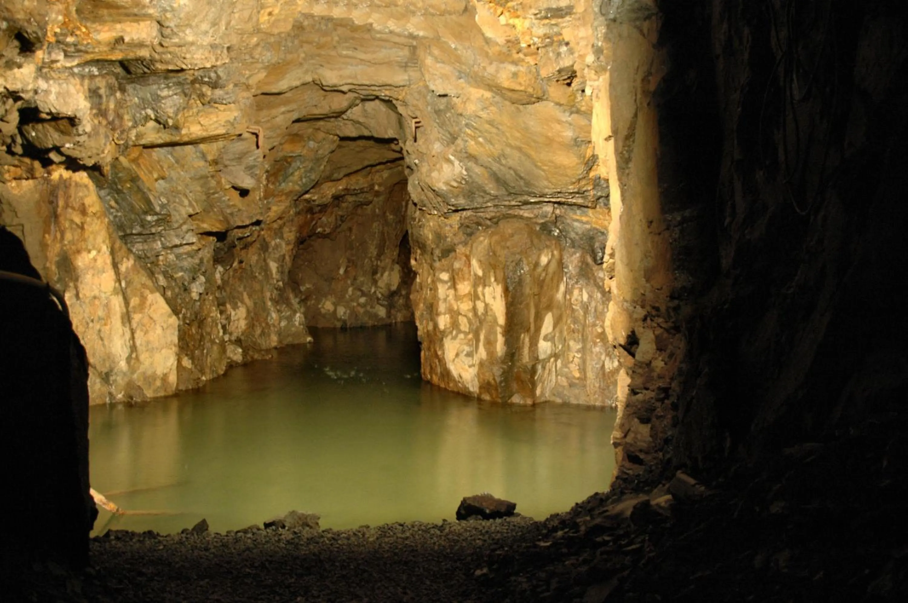 Activities in Flair-Waldhotel Mellestollen