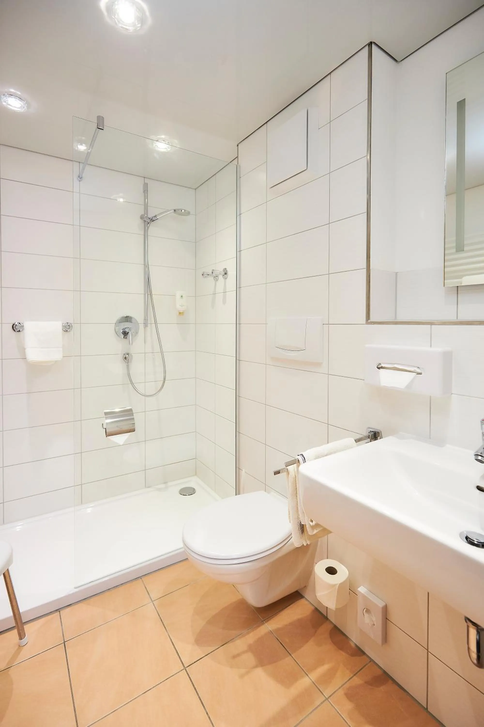 Shower in Flair Hotel Weinstube Lochner