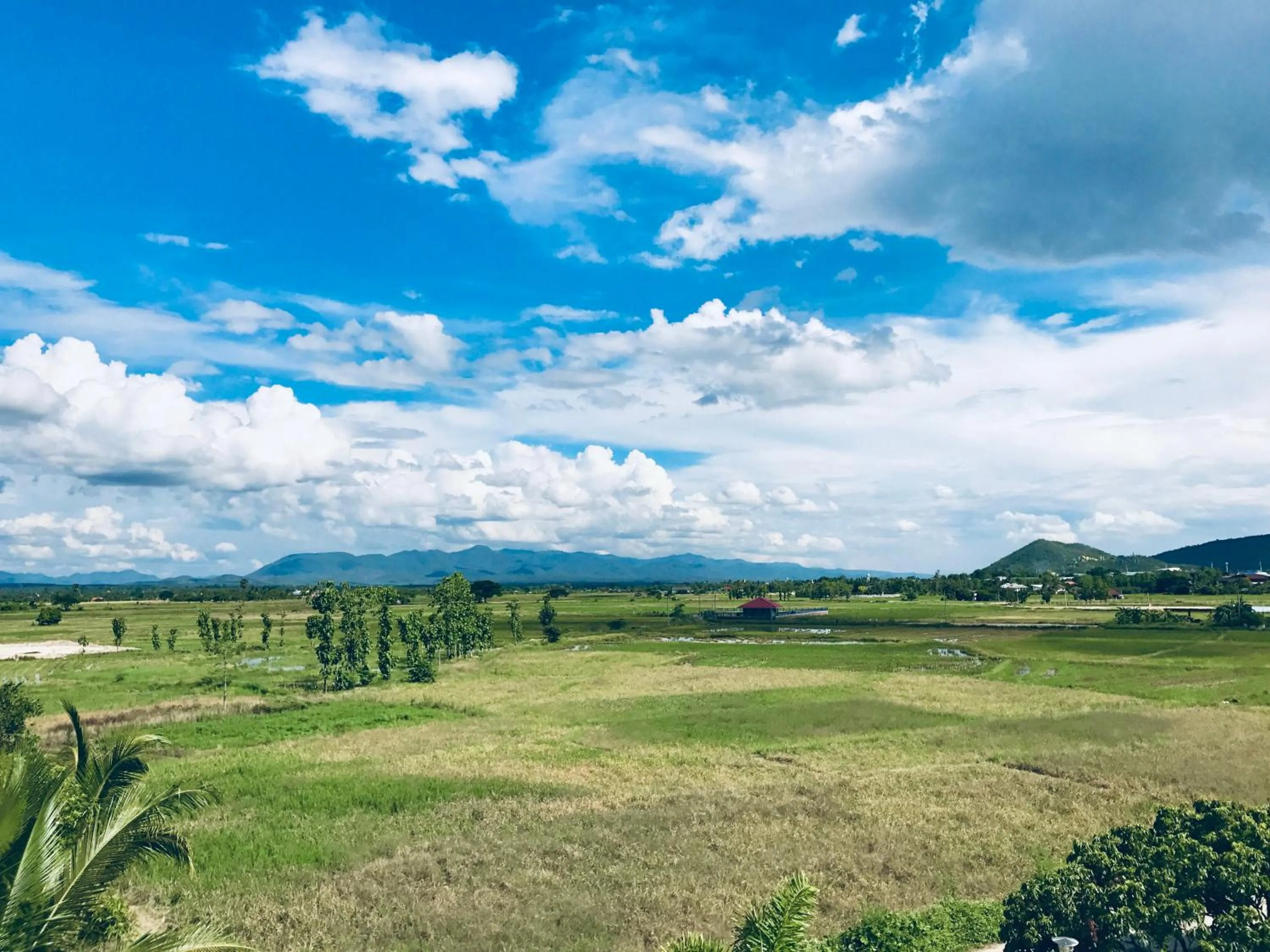 Natural landscape in Smile Place (สมายเพลส)
