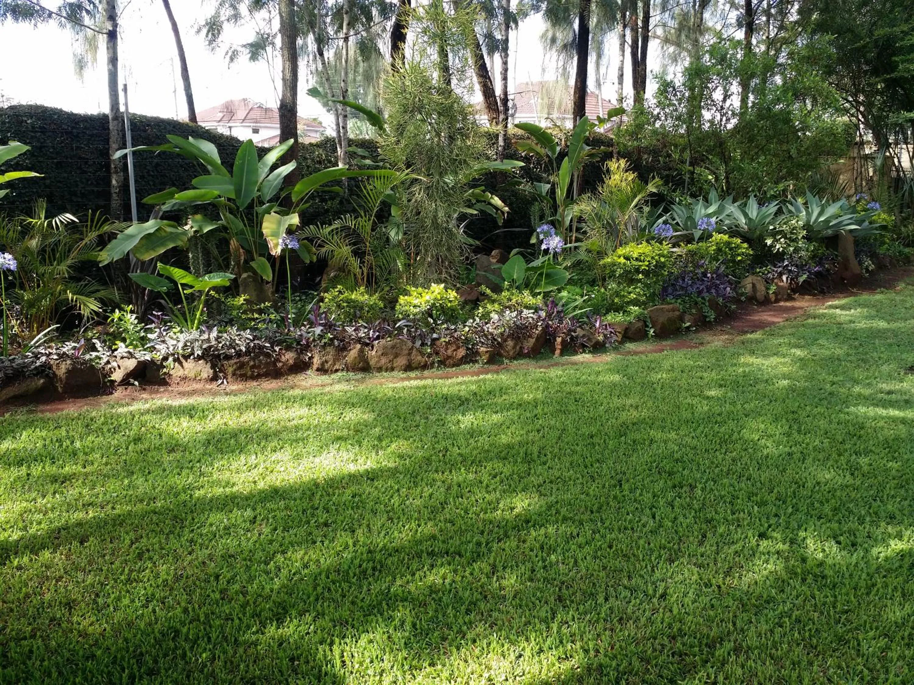 Garden view in Margarita House