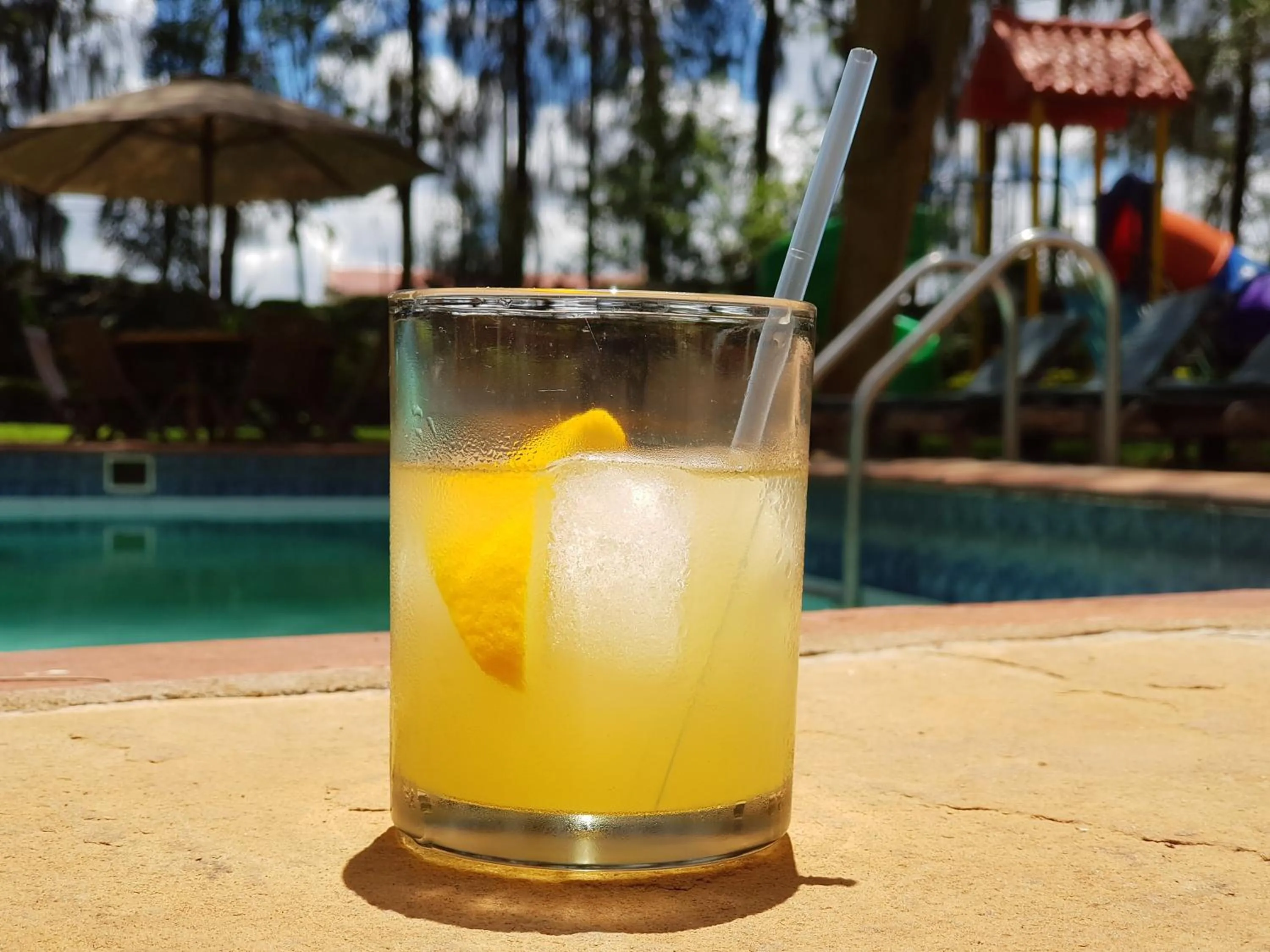 Swimming pool in Margarita House