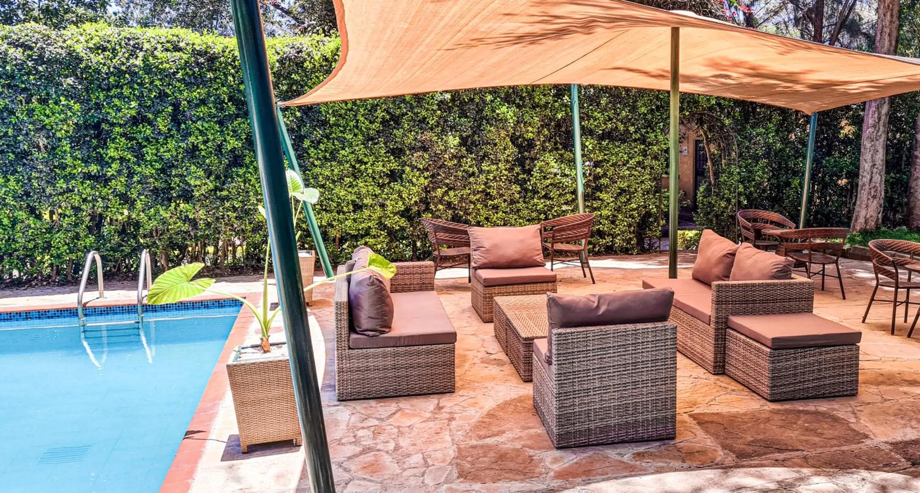 Swimming pool in Margarita House