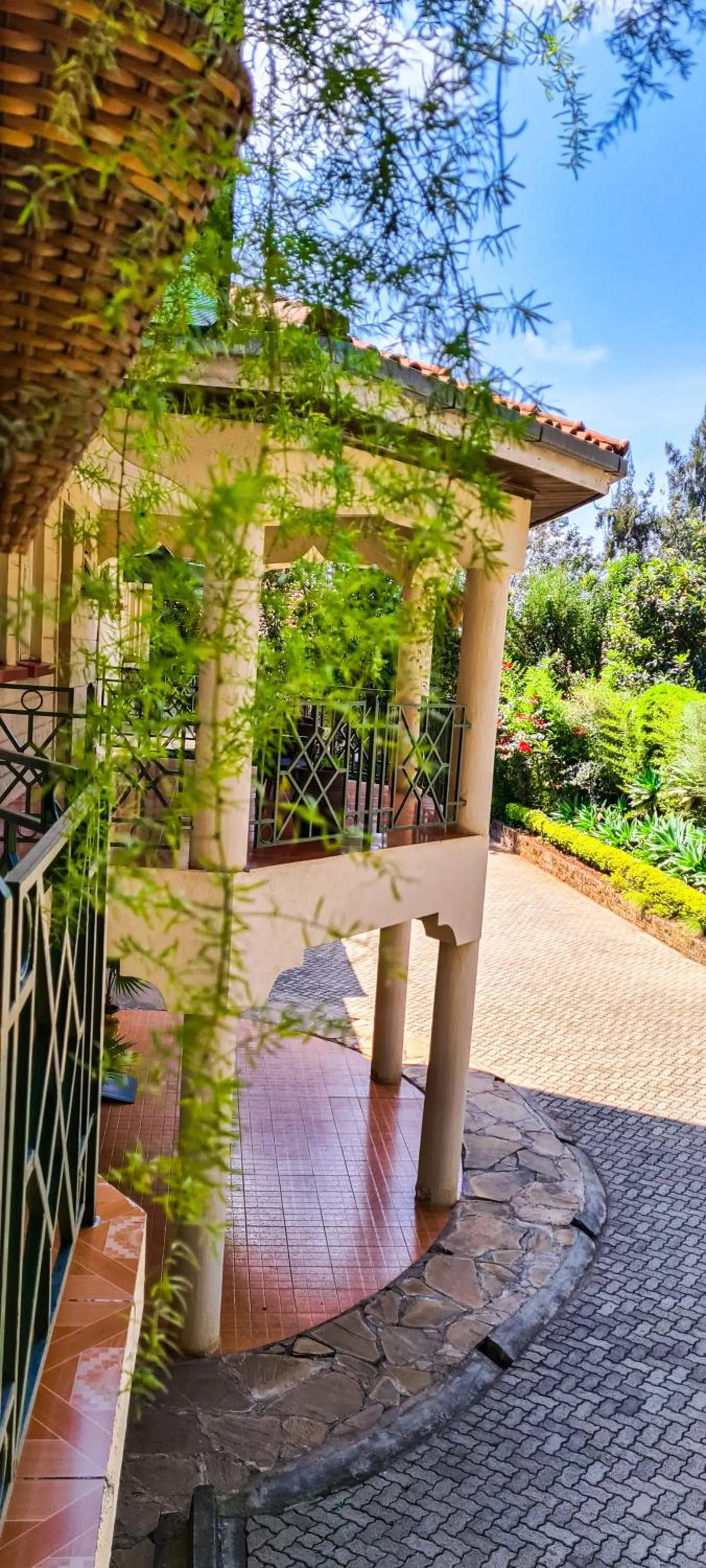 Garden view in Margarita House