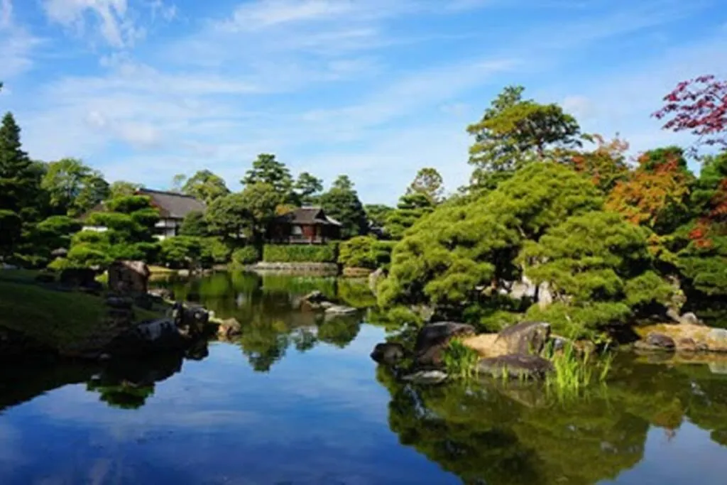 Cozy enjoyment hotel no.29