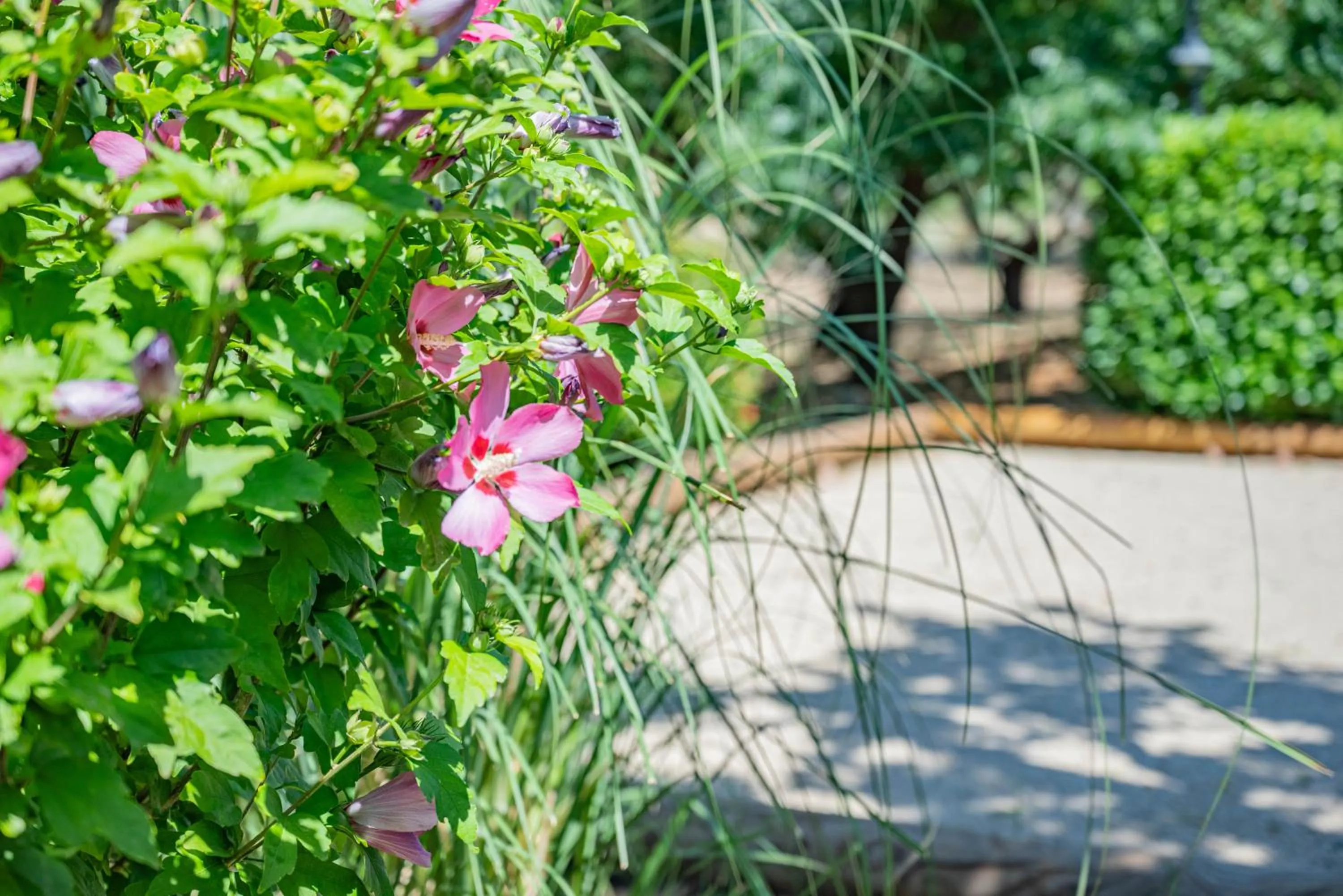 Garden view in Les Chambres du Perussier