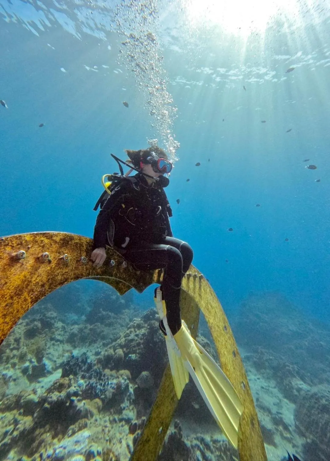 Activities in 綠島海灣會館Bay Resort