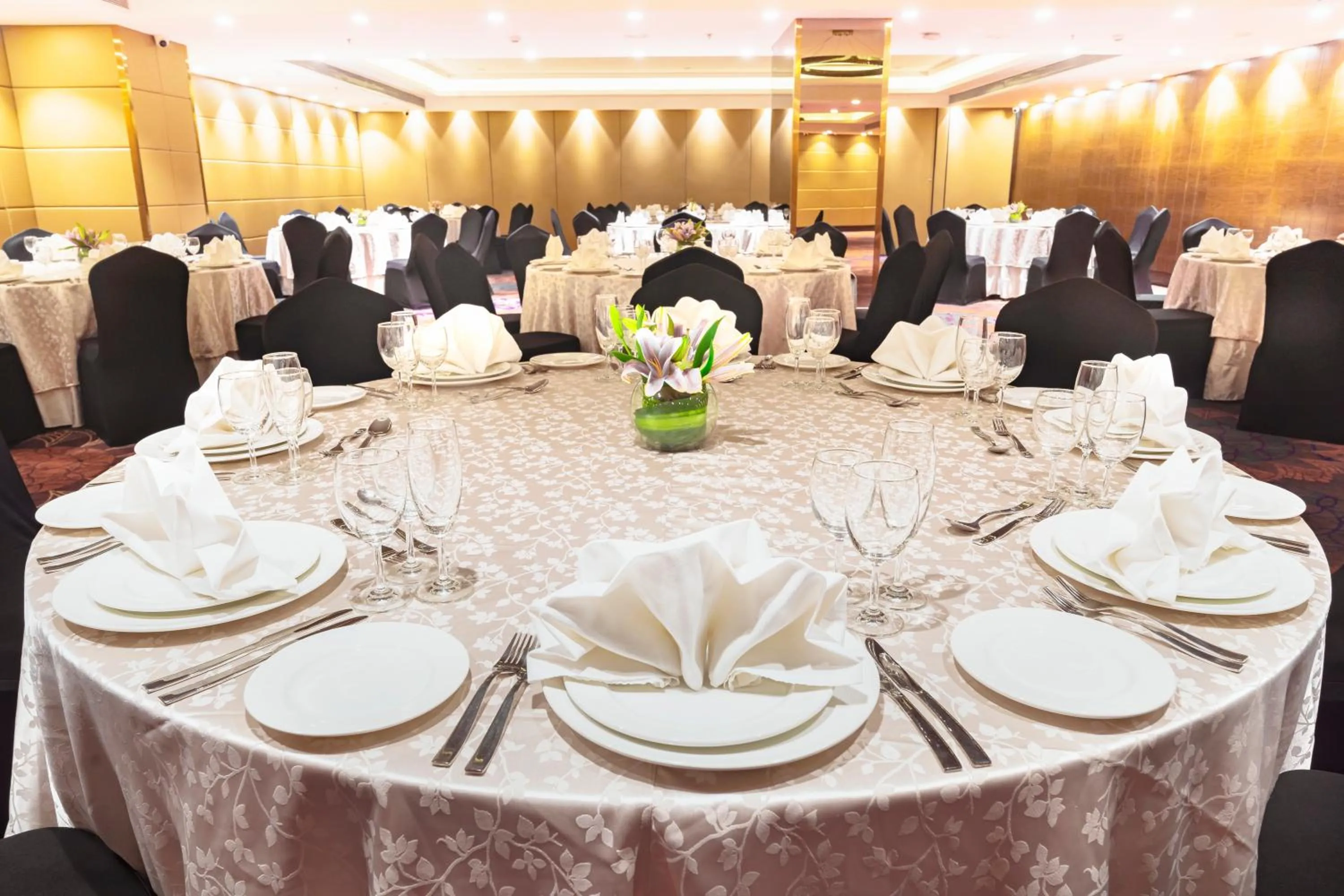 Banquet/Function facilities in The Elite Narasapura, a member of Radisson Individuals