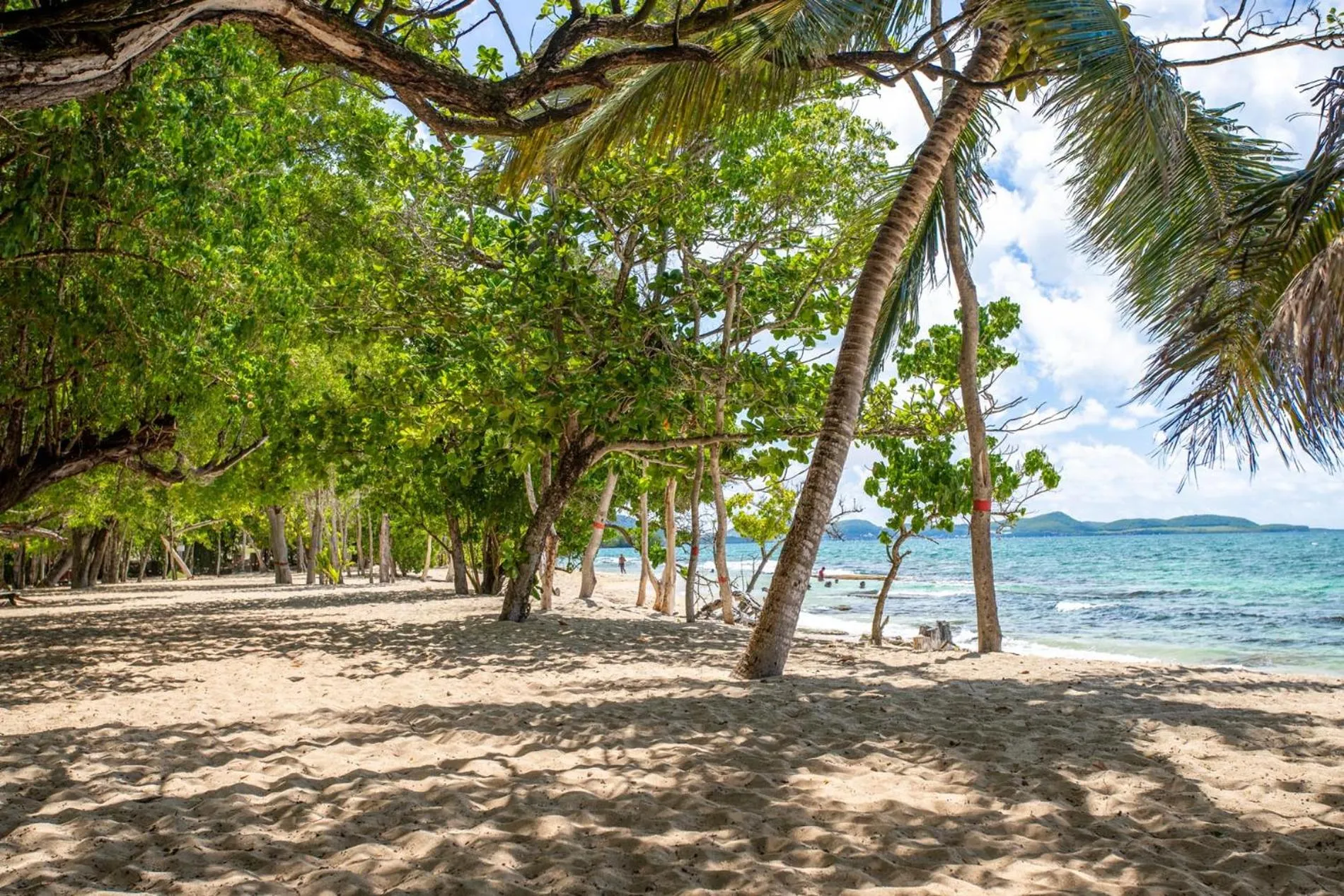 Beach in Karibea Sainte Luce Hotel