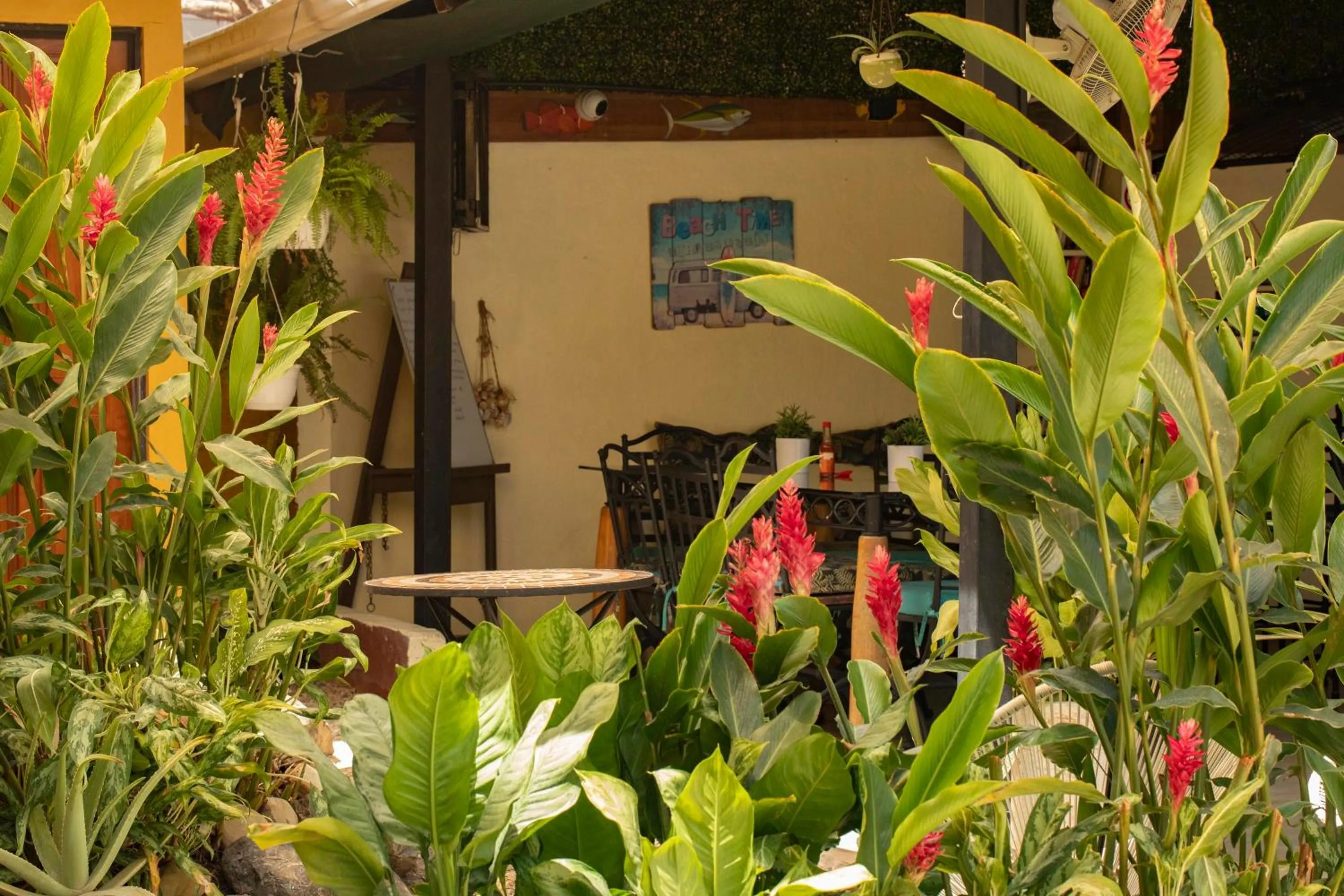 Garden in Hotel Laura's House