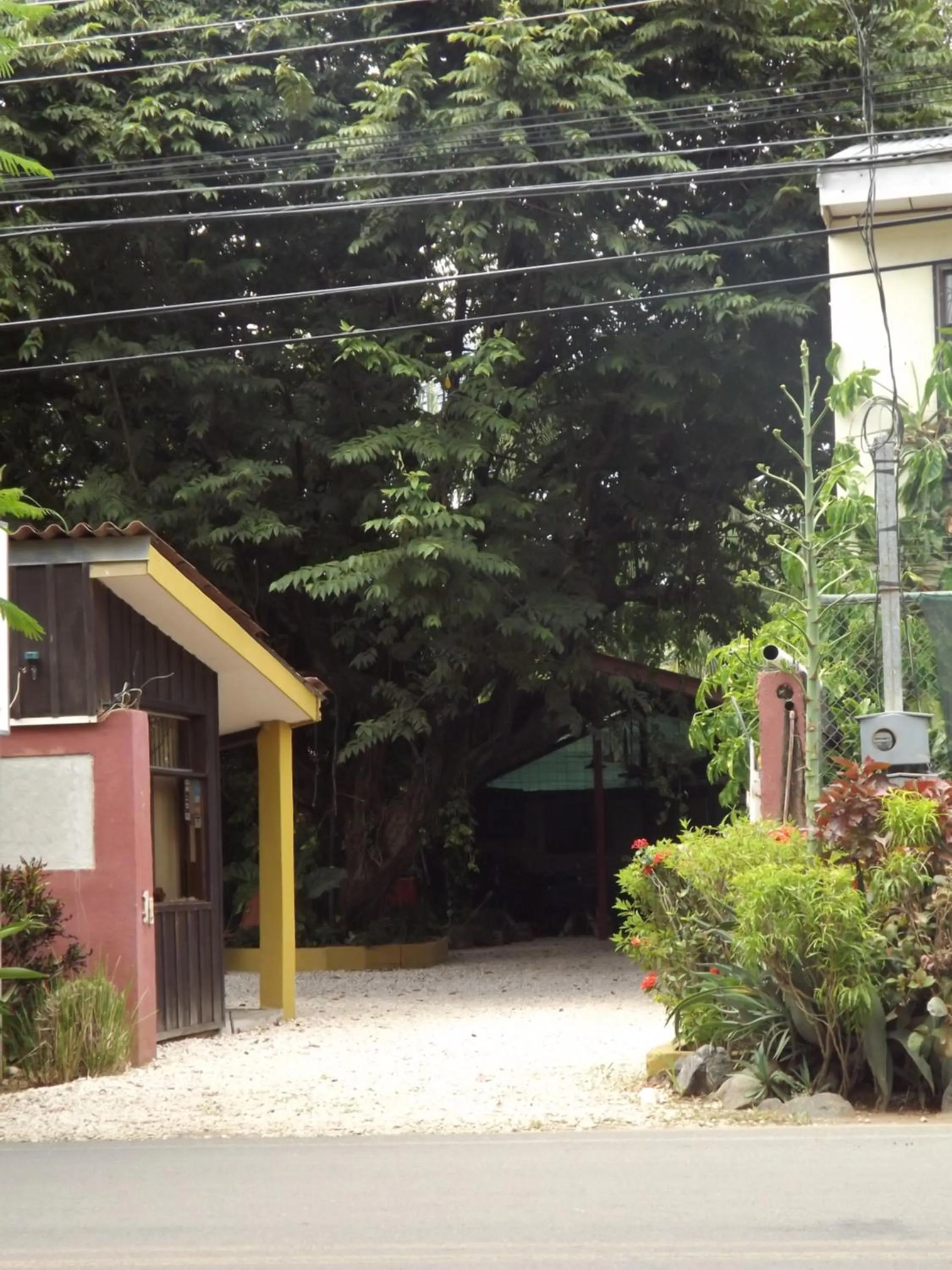 Day in Hotel Laura's House