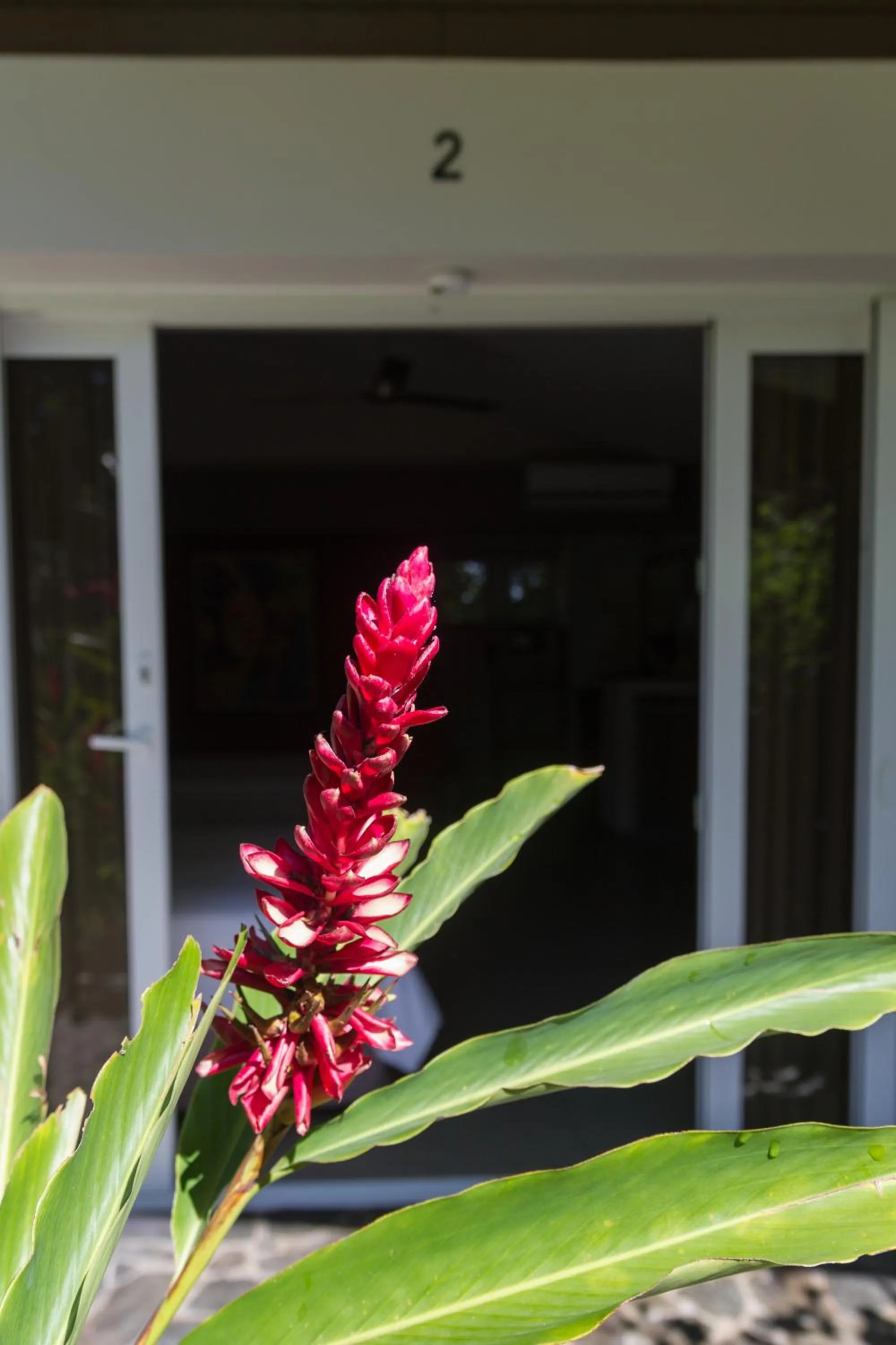Garden in Guácima Escondida Hotel Boutique