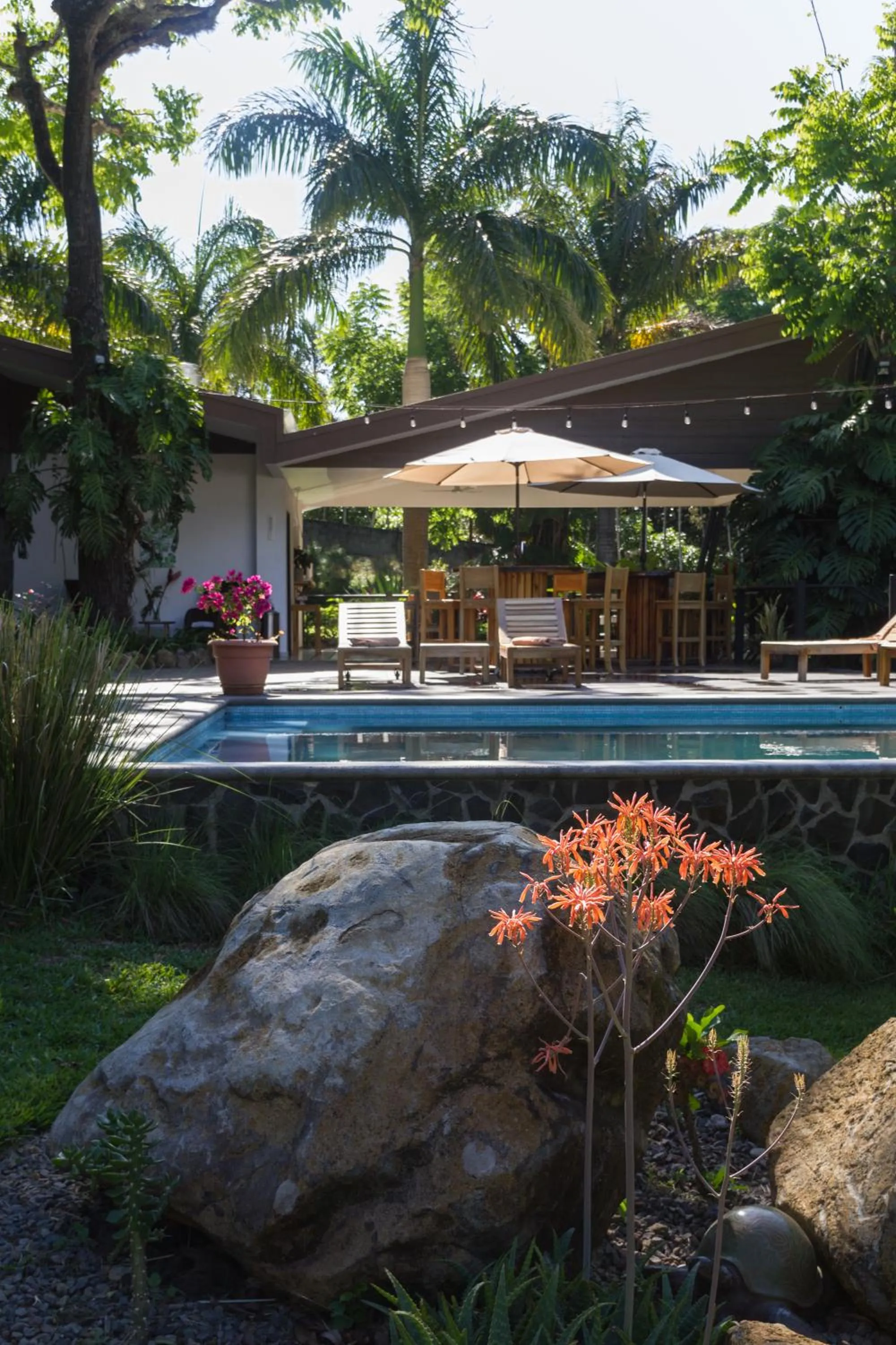 Swimming pool in Guácima Escondida Hotel Boutique