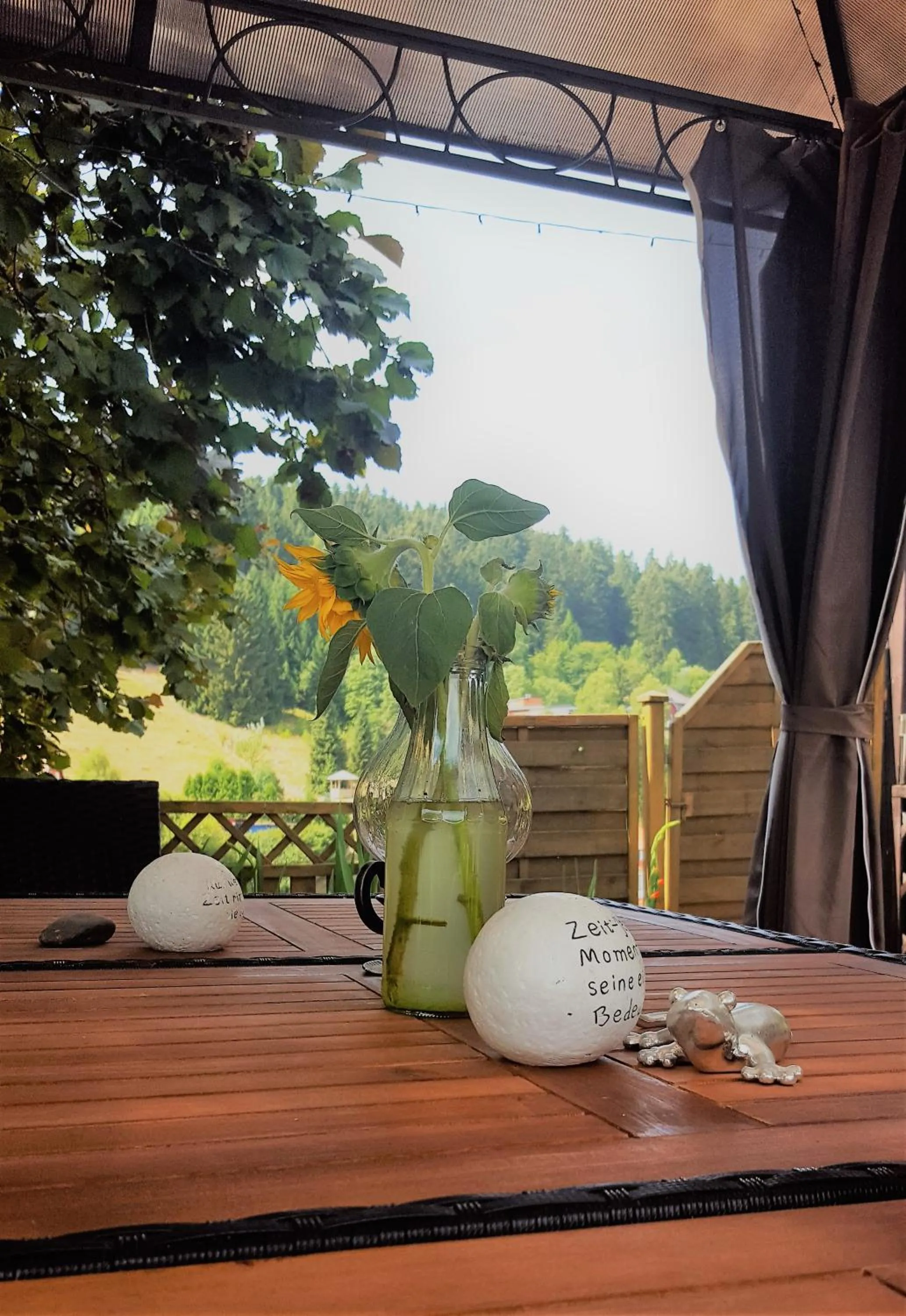 Day in Hotel zur Schmiede