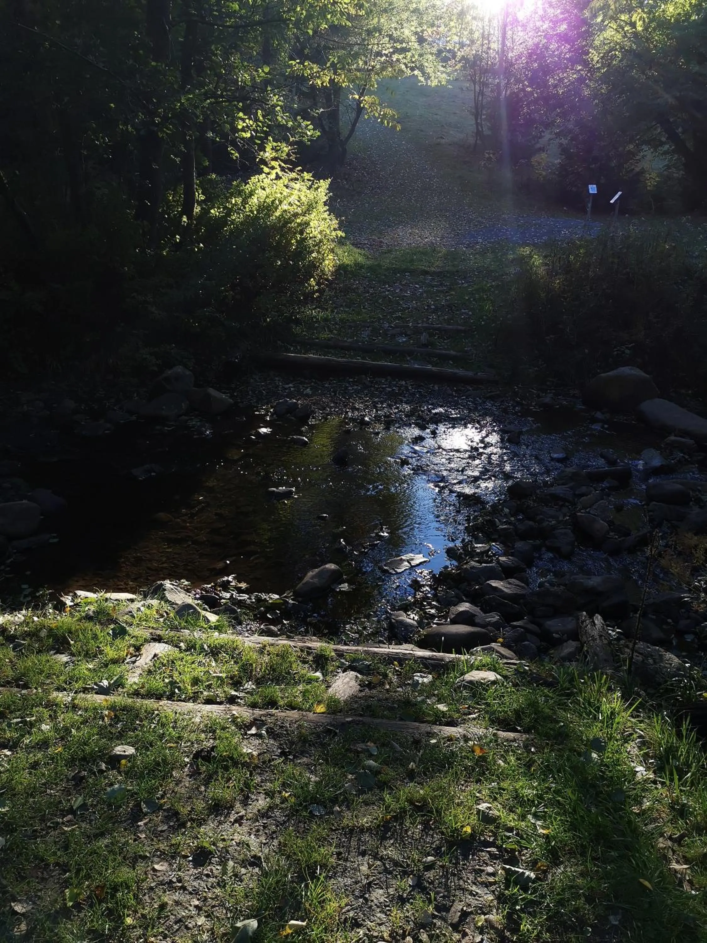 Day in Hotel zur Schmiede