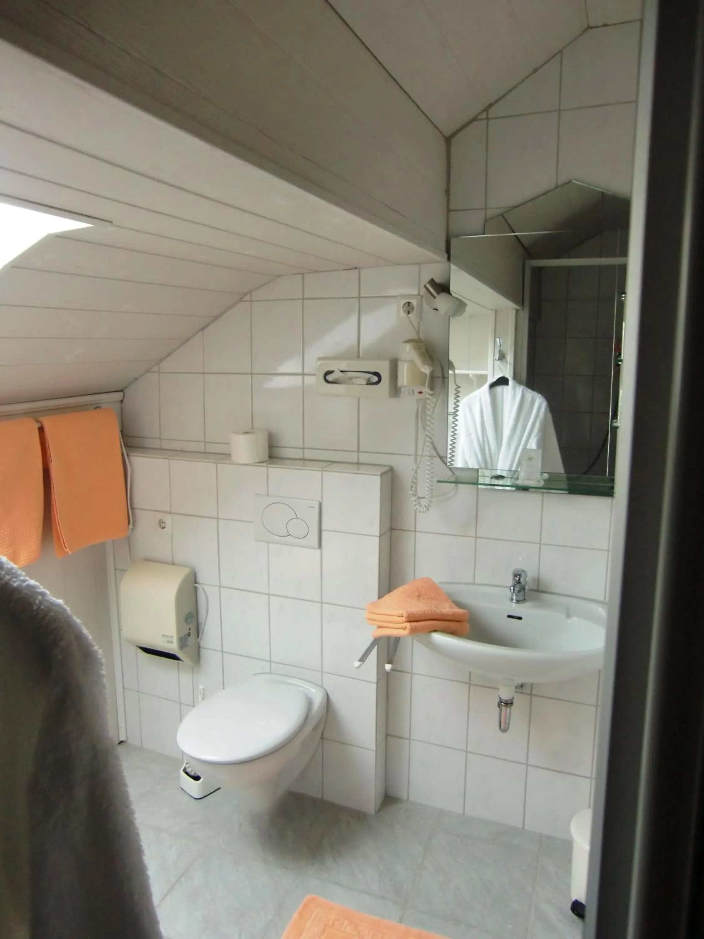 Toilet in Hotel zur Schmiede