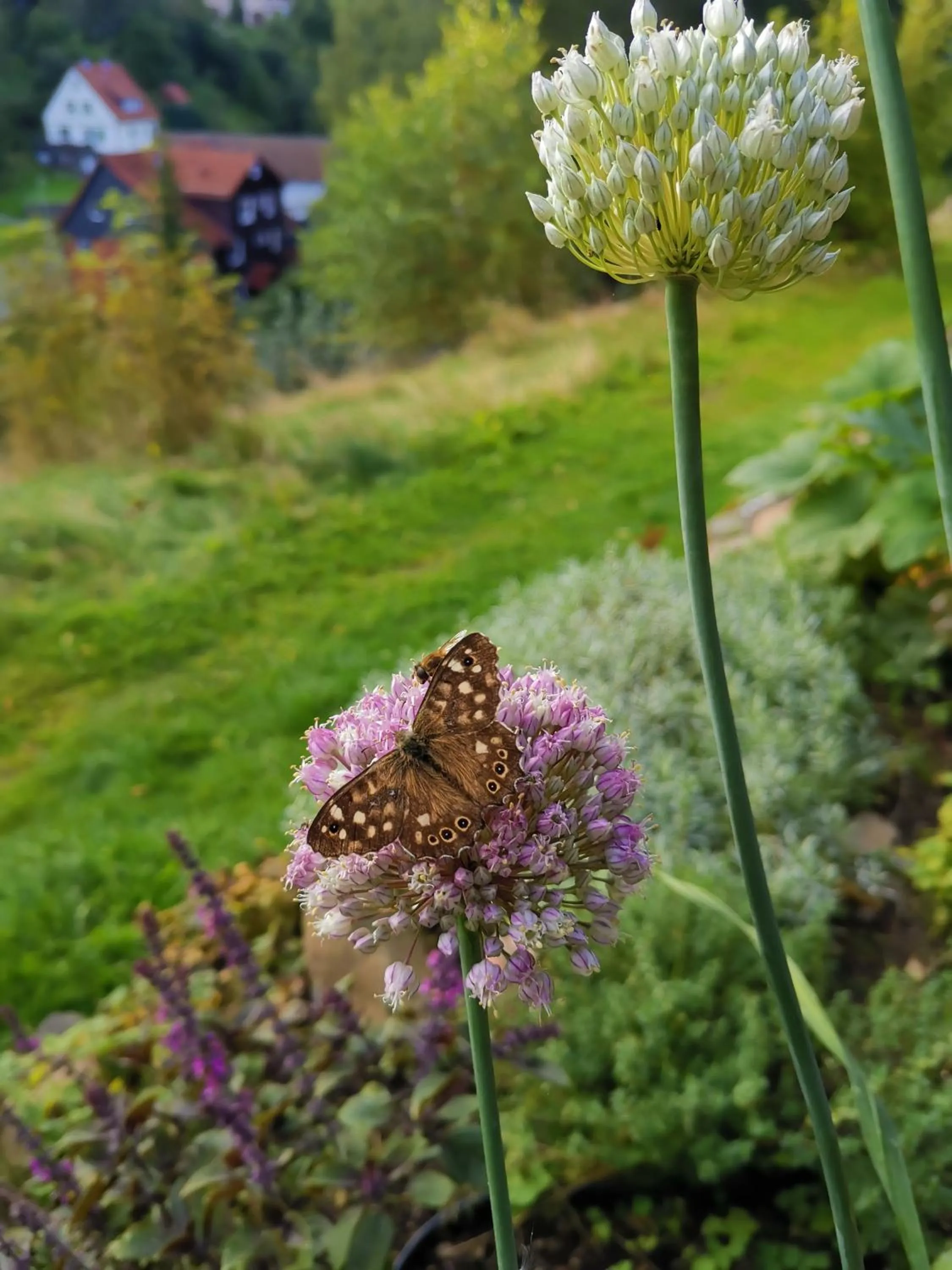 Day in Hotel zur Schmiede