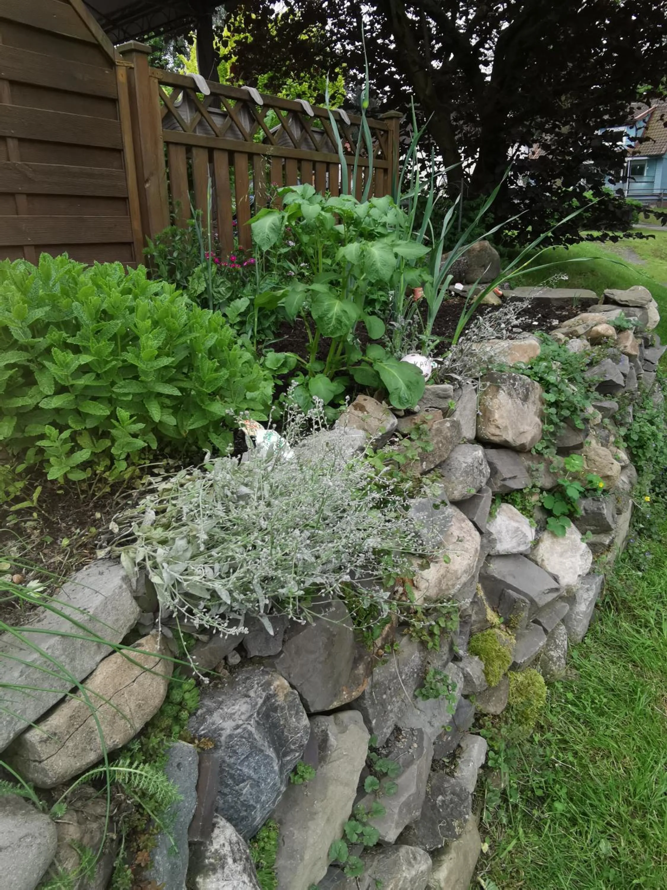 Day in Hotel zur Schmiede