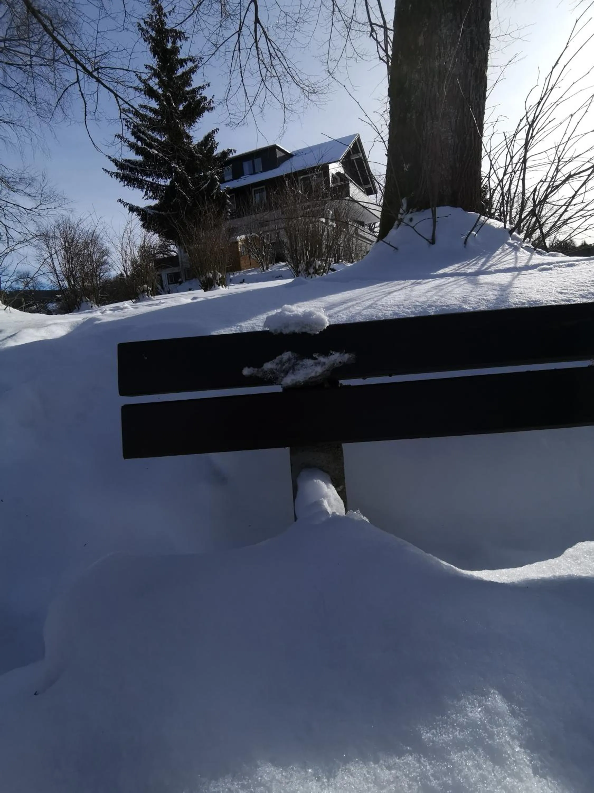 Property building in Hotel zur Schmiede