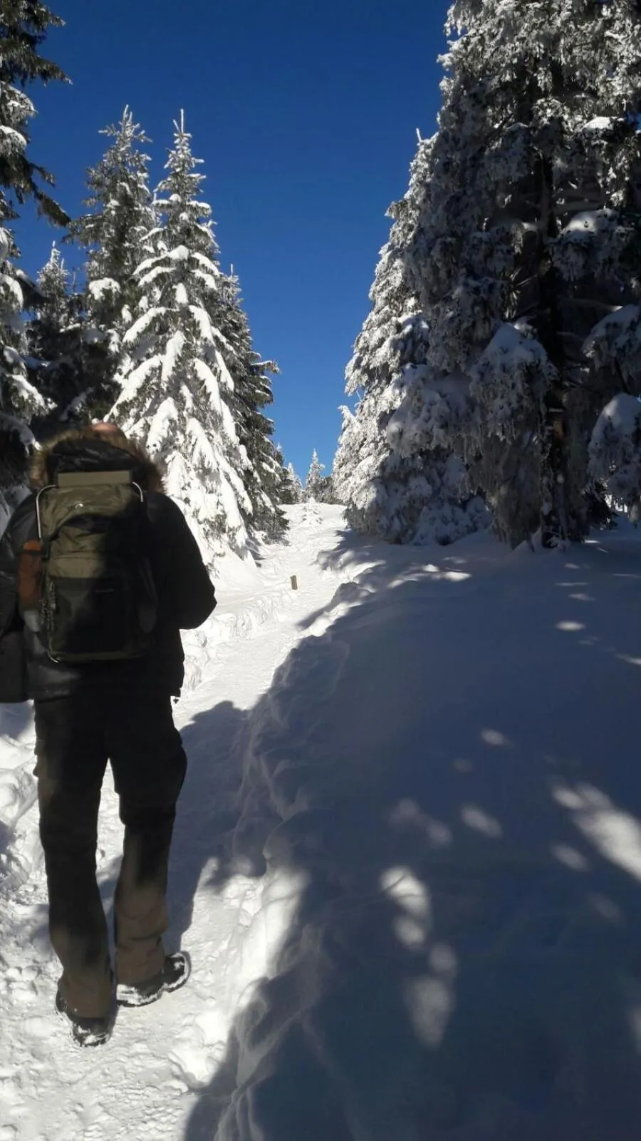 Day in Hotel zur Schmiede