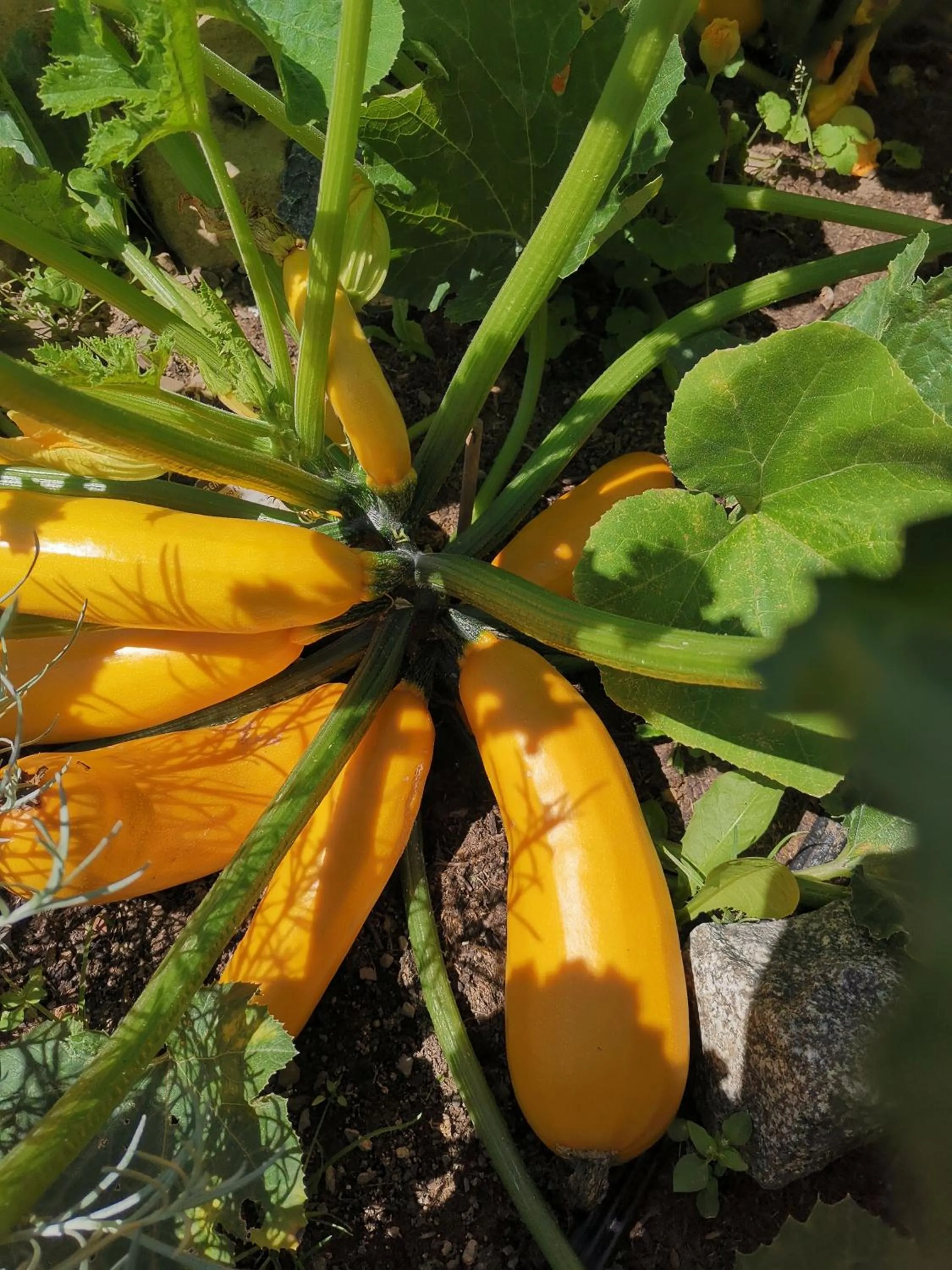 Day in Hotel zur Schmiede