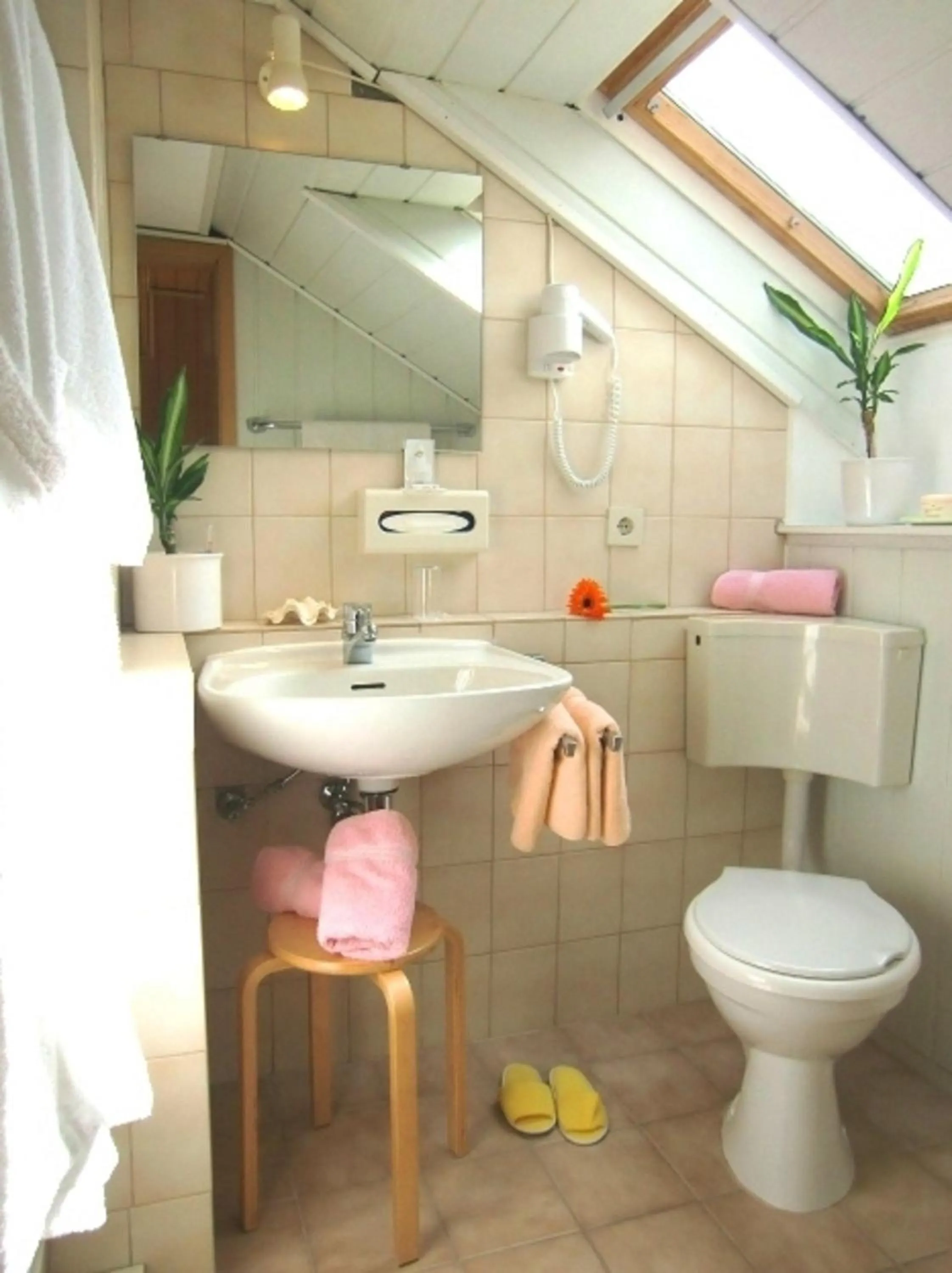 Toilet in Hotel zur Schmiede