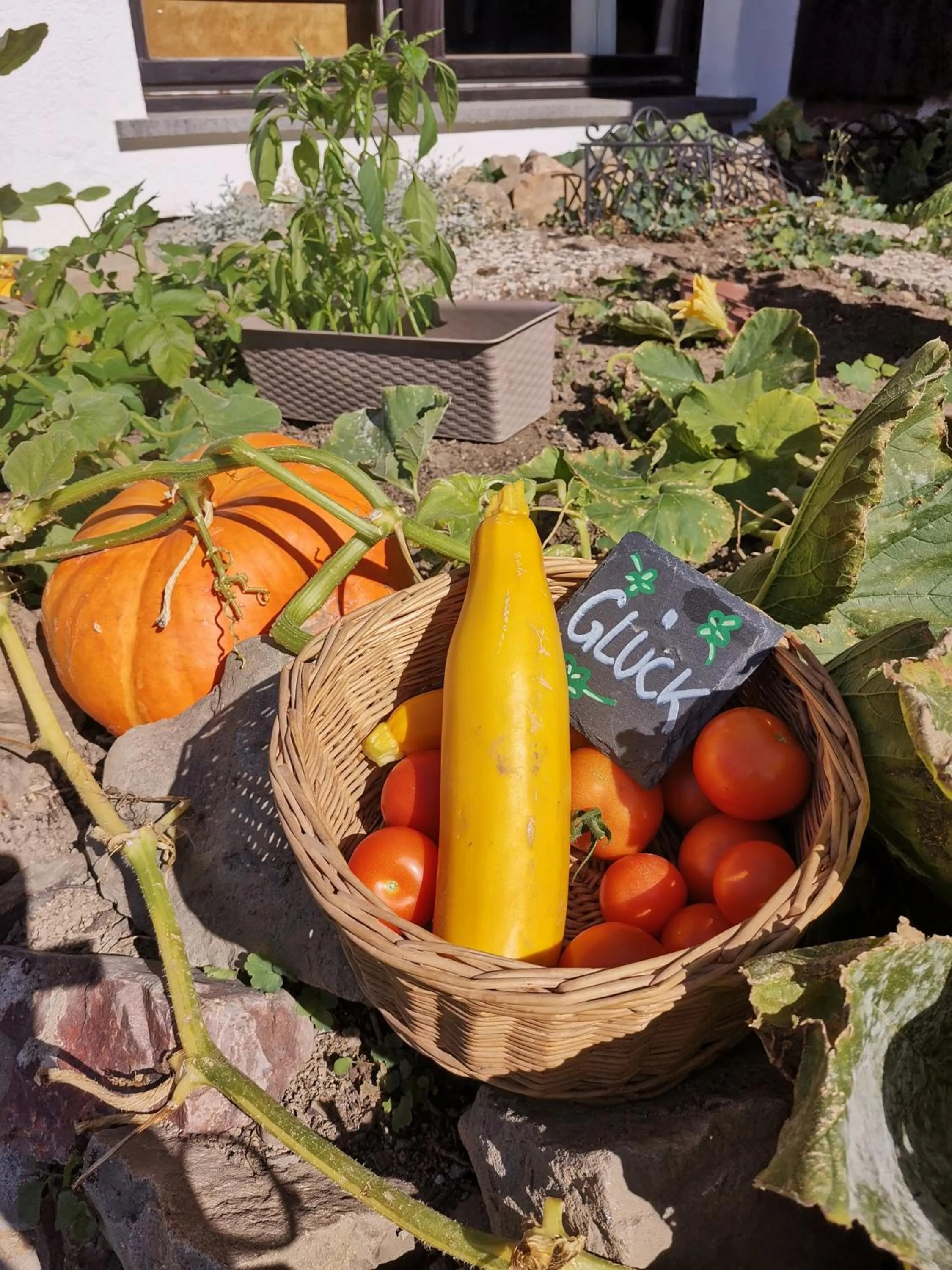 Day in Hotel zur Schmiede