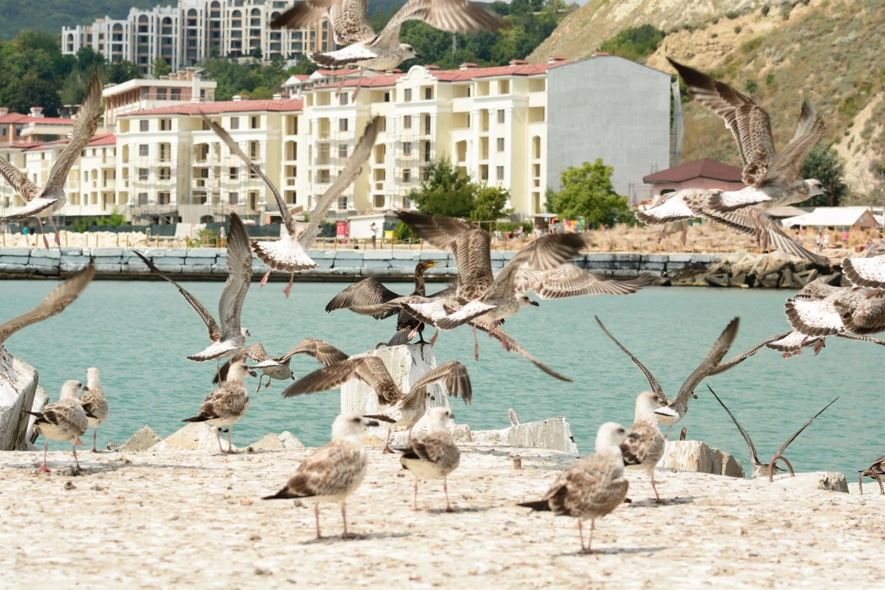 Nearby landmark in Ahilea Hotel - Free Pool Access