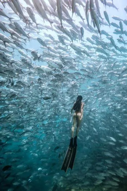 Activities in Sipadan Inn 3