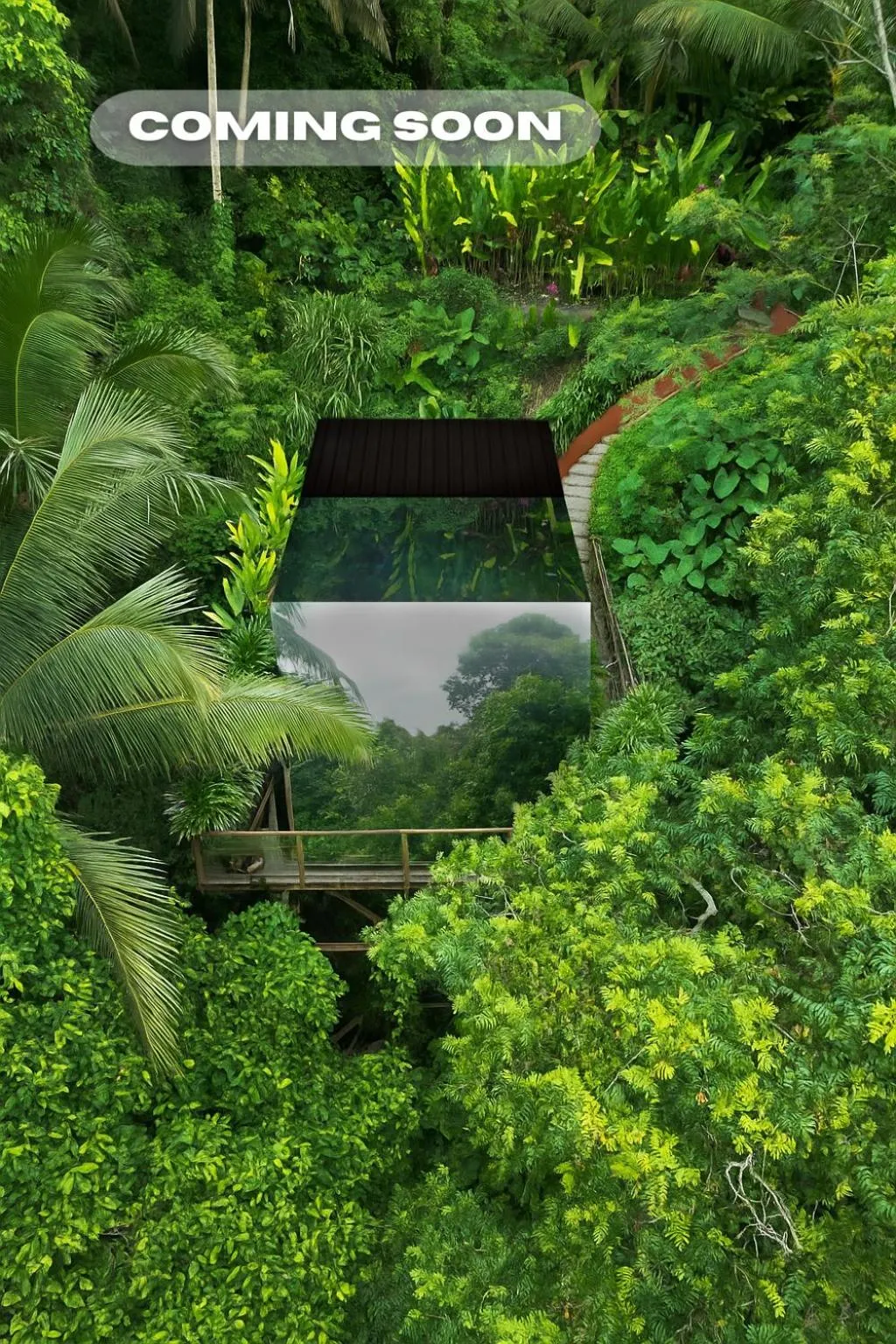 View (from property/room) in K Club Ubud