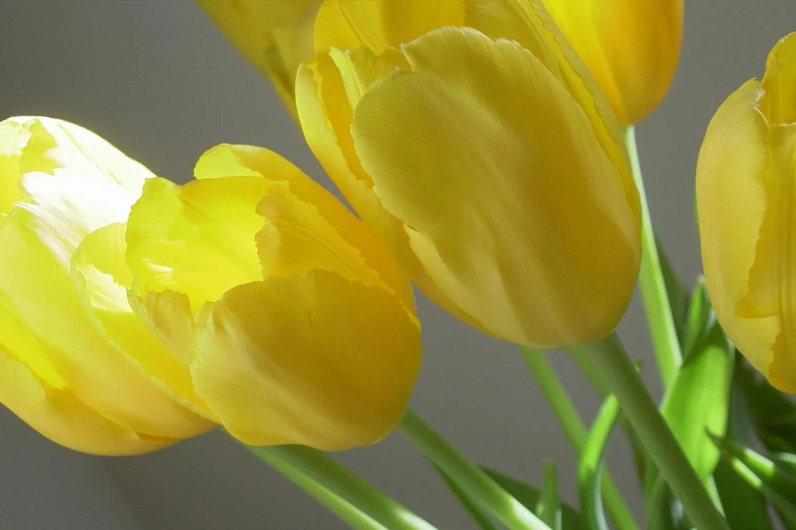 Lobby or reception in B&B A Casa Romar