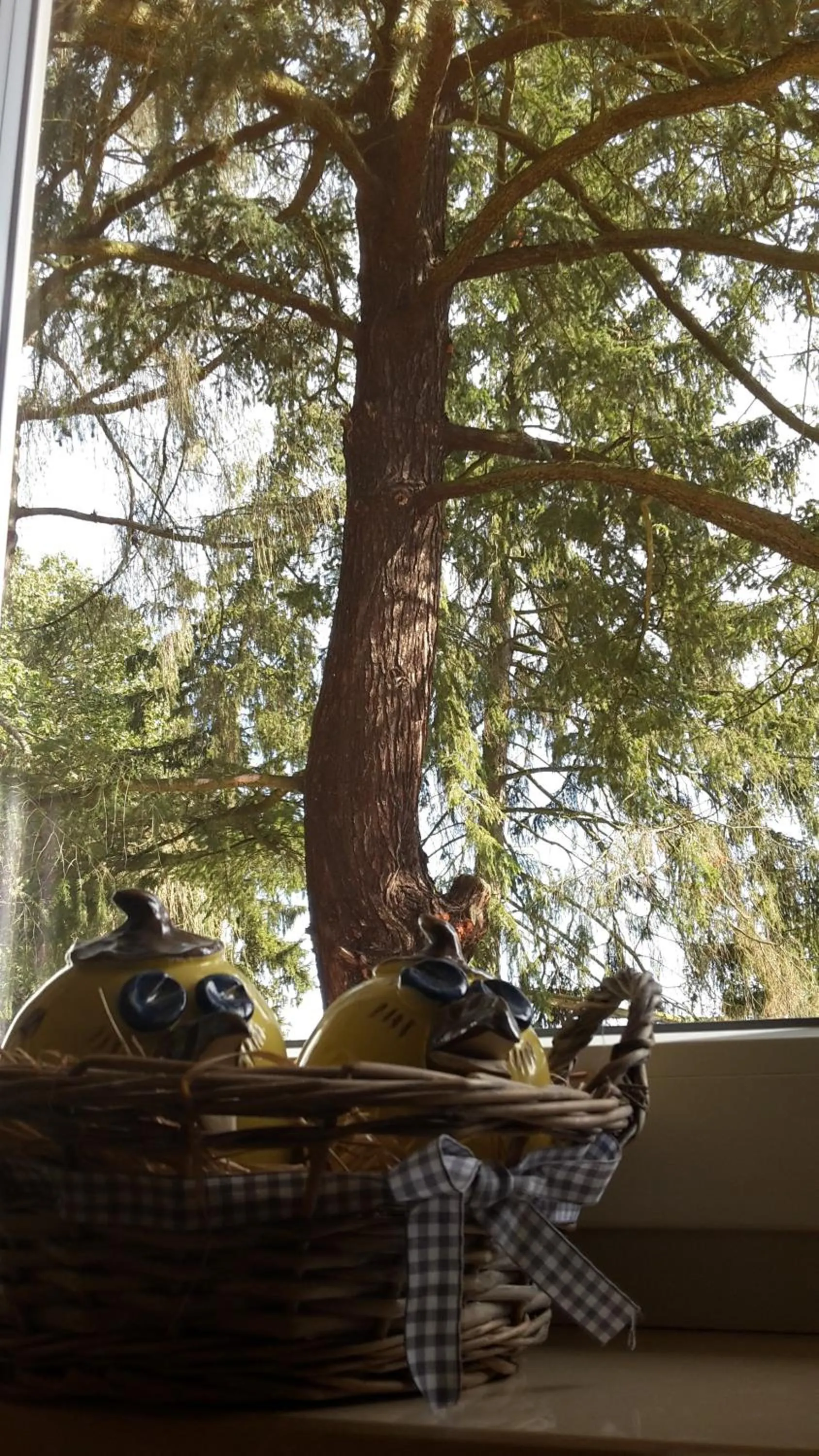 Property building in Hotel Zur Waldhufe