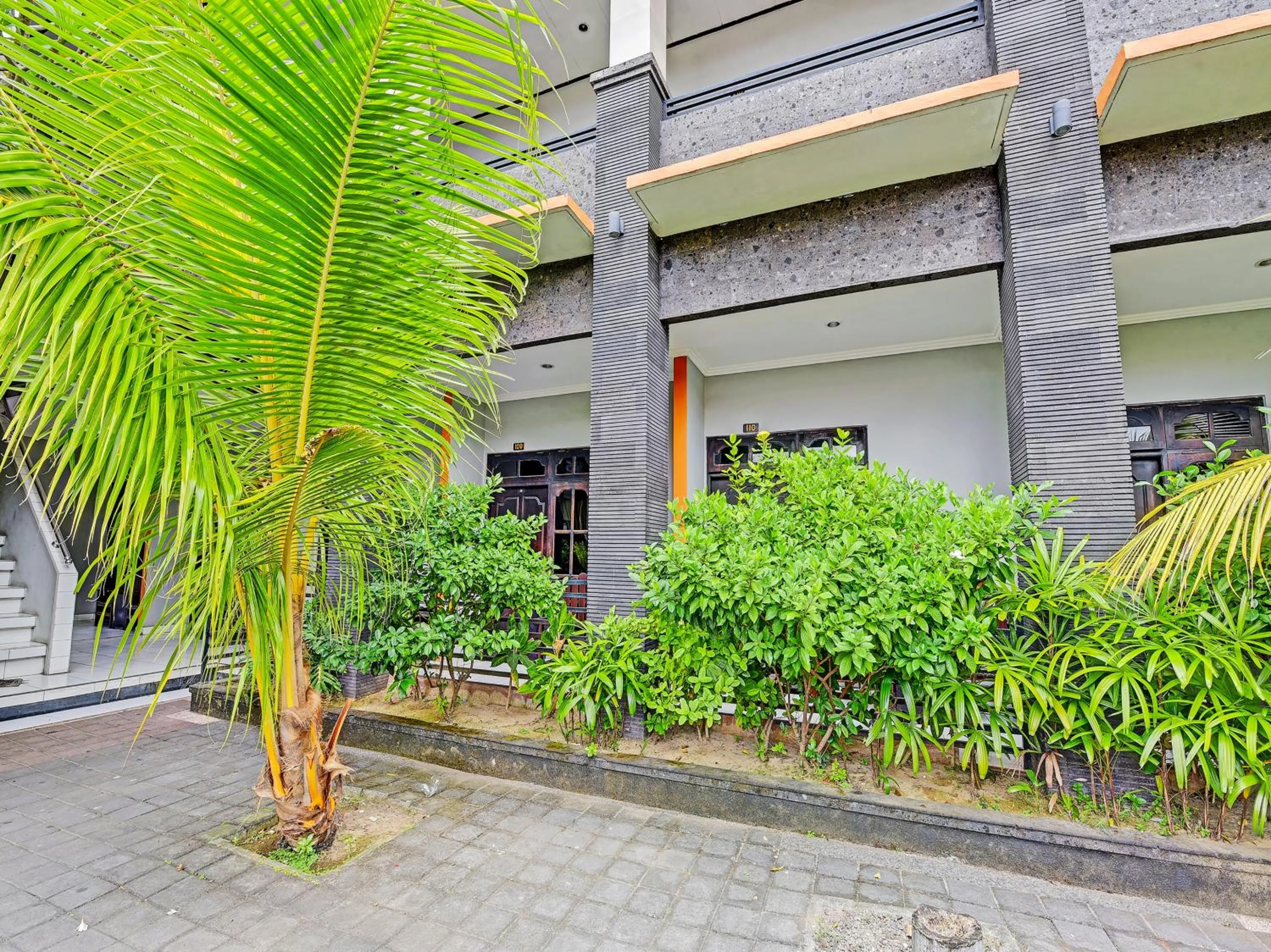 Garden, Property Building in Hotel Diana 1