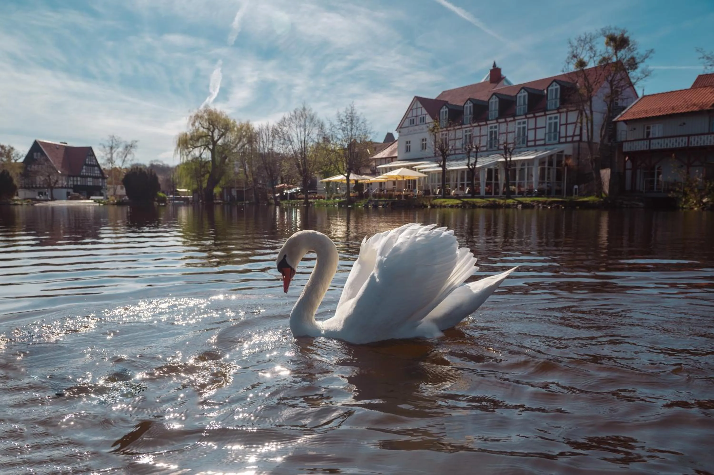 Property building in Landhaus Zu den Rothen Forellen