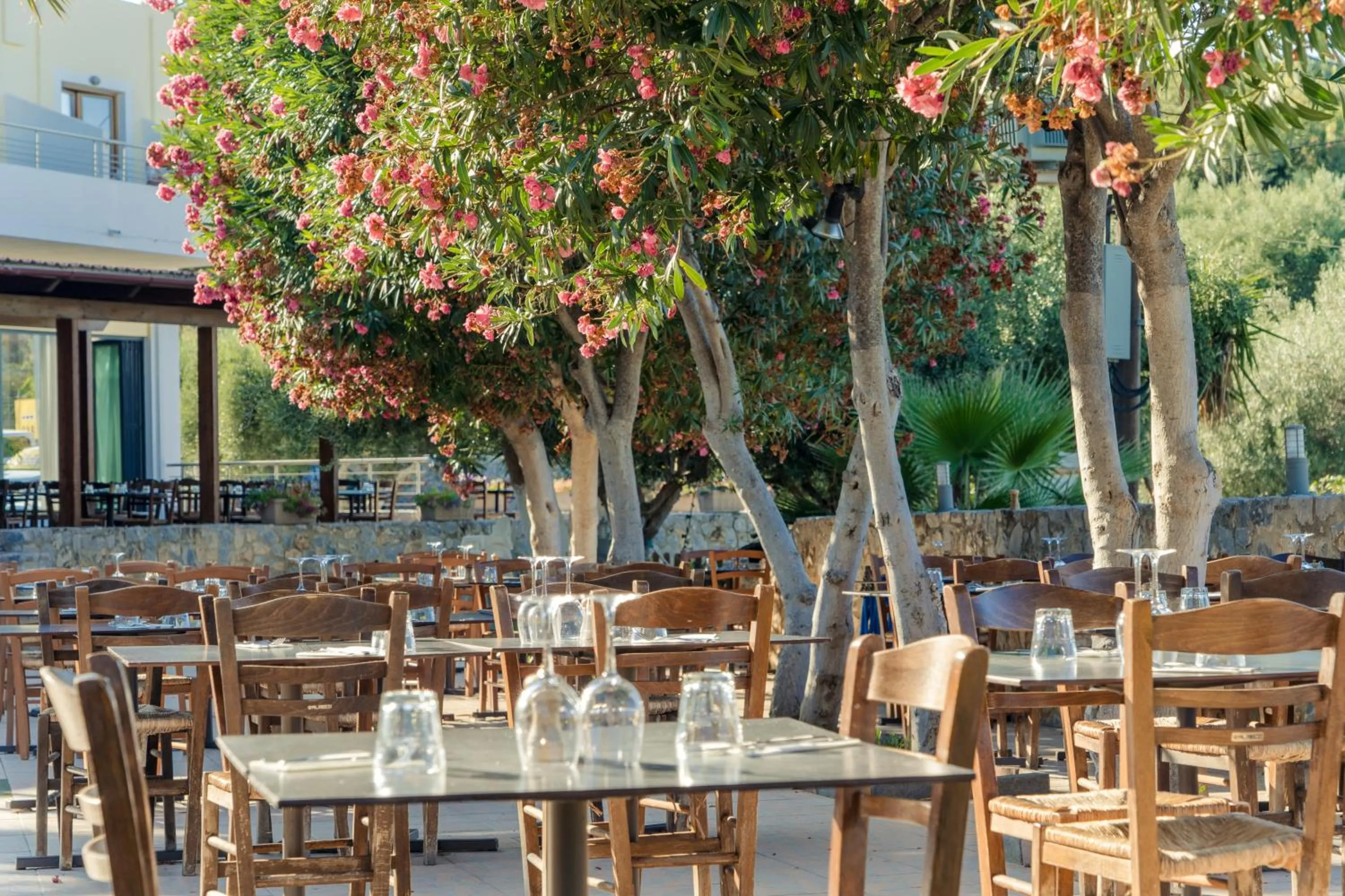 Restaurant/places to eat in Almyrida Village & Waterpark