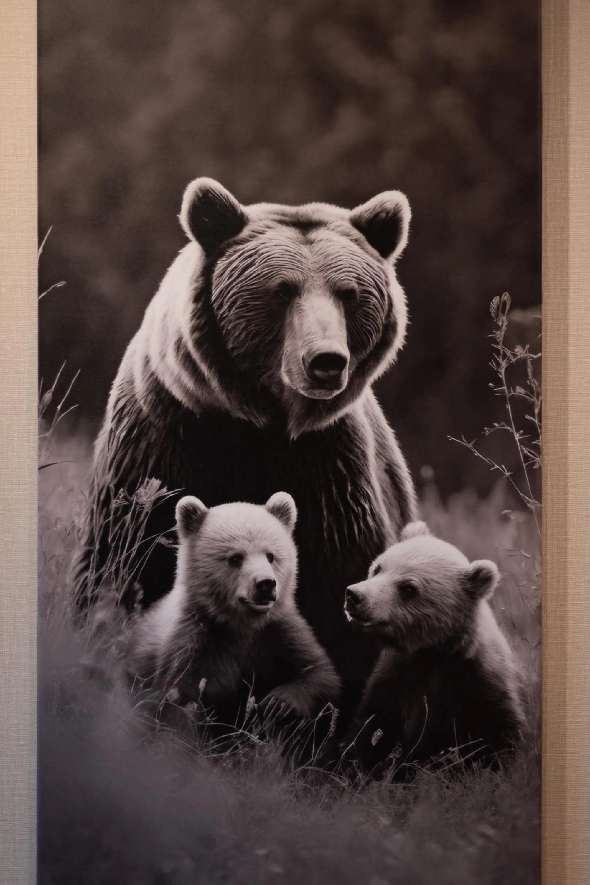 Ośrodek Wypoczynkowy Bernadetta