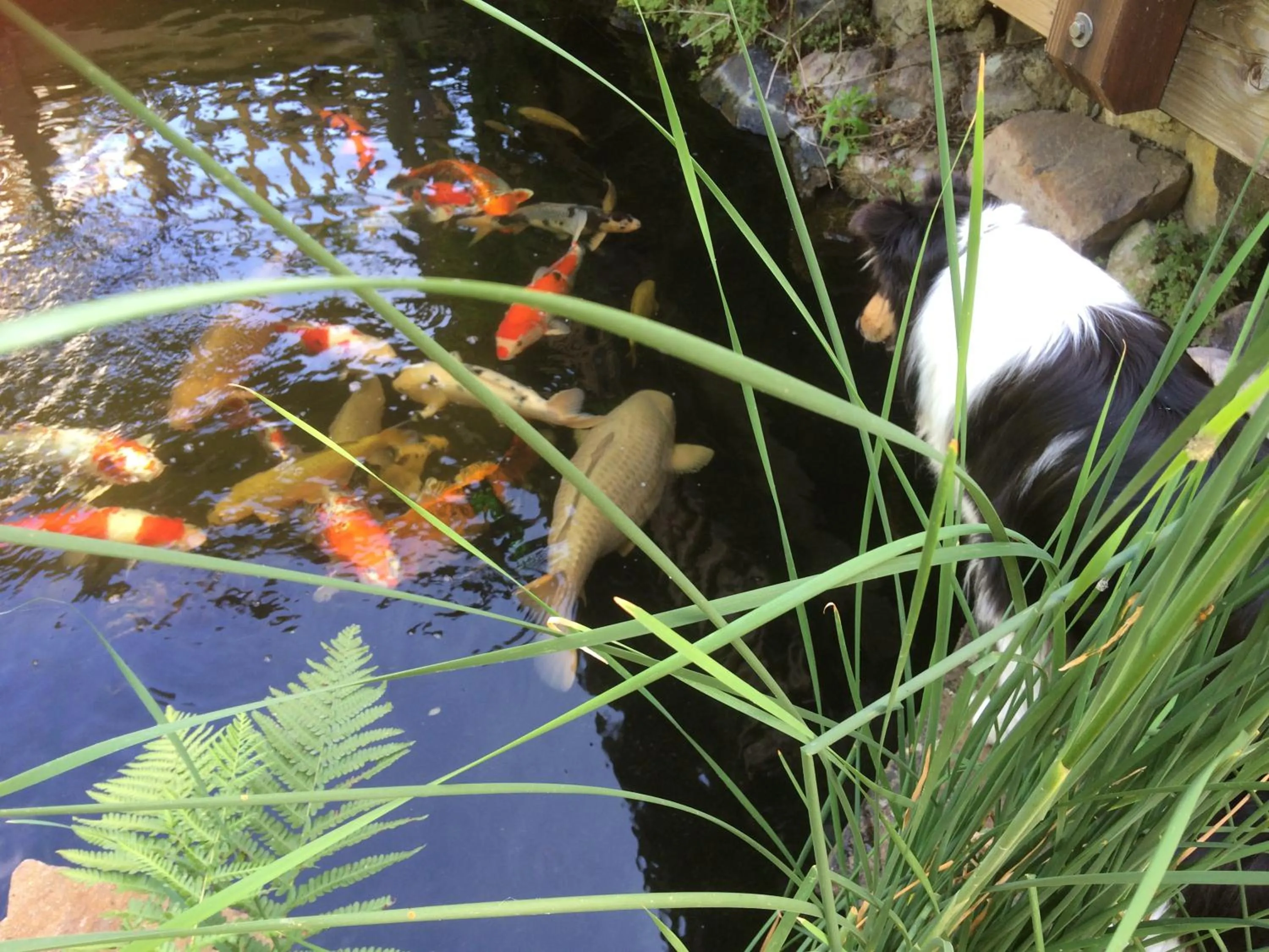 Natural landscape in Wellness- und Gartenhotel Heusser