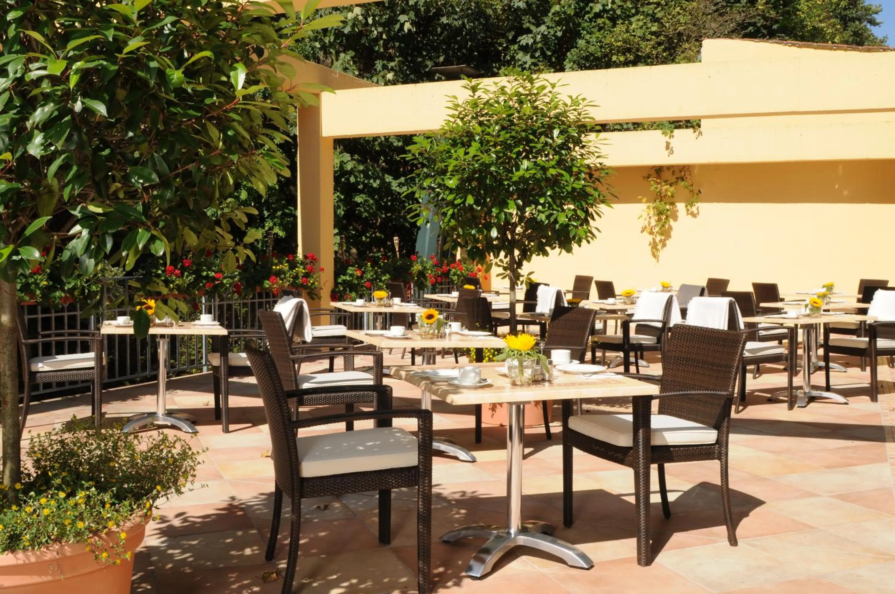 Balcony/Terrace in Marburger Hof