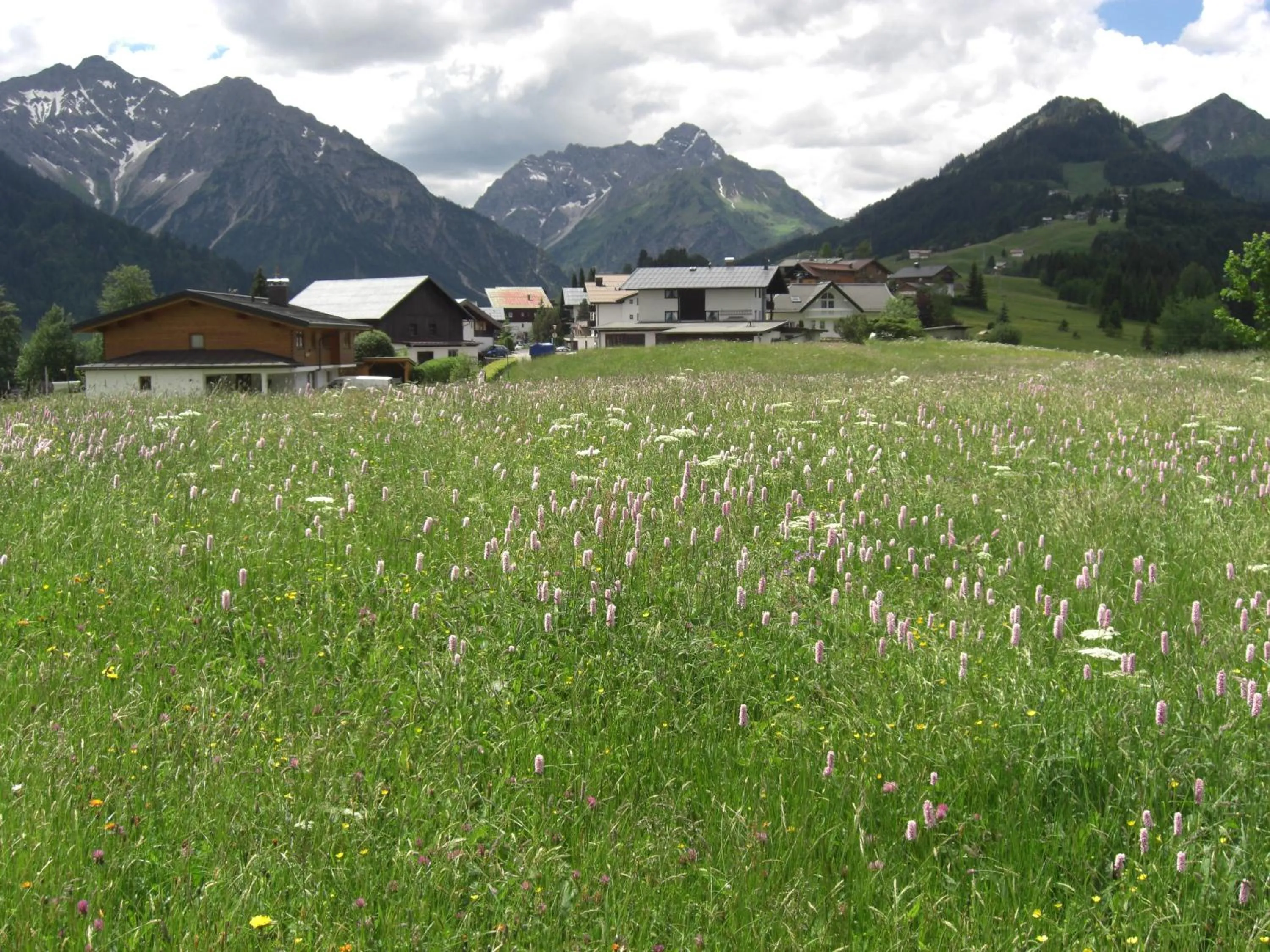 View (from property/room) in Gästehaus Boersch